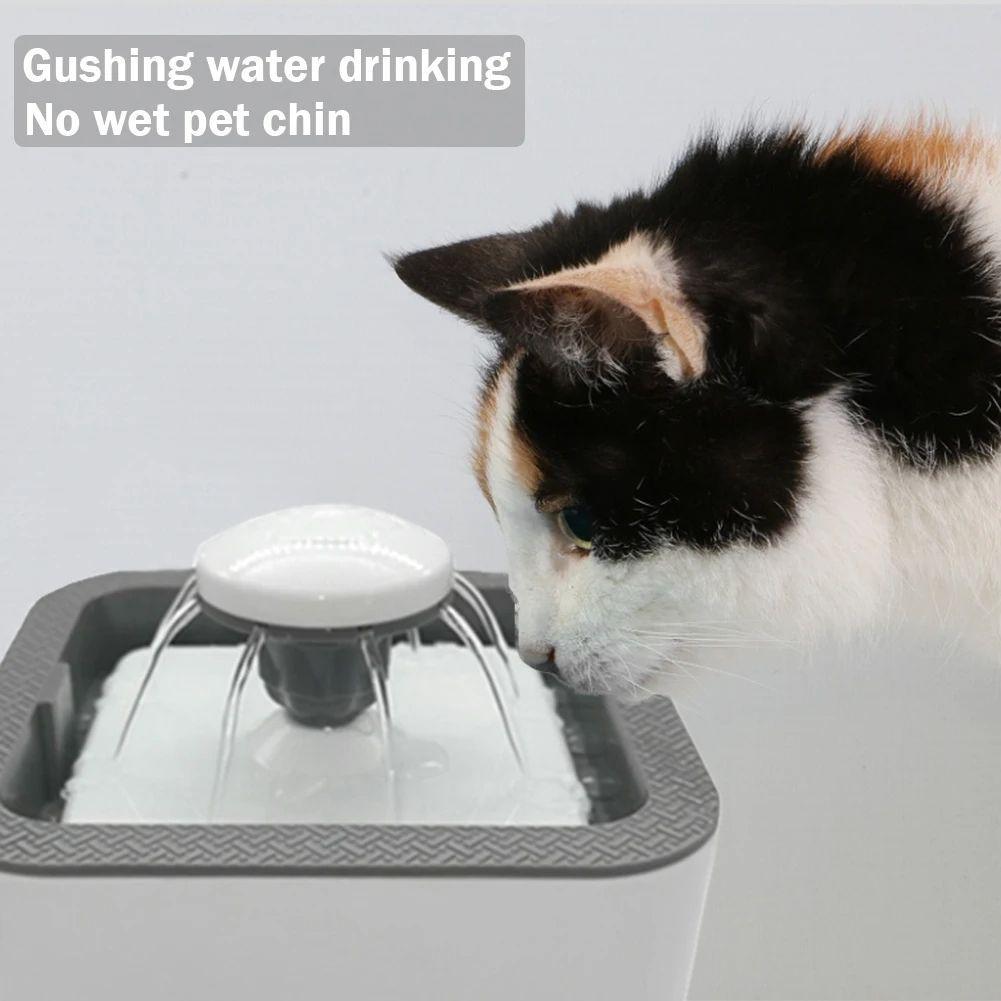 Bebedor Gatos Perros Eléctrico Usb Mascota Fuente Rondon-7