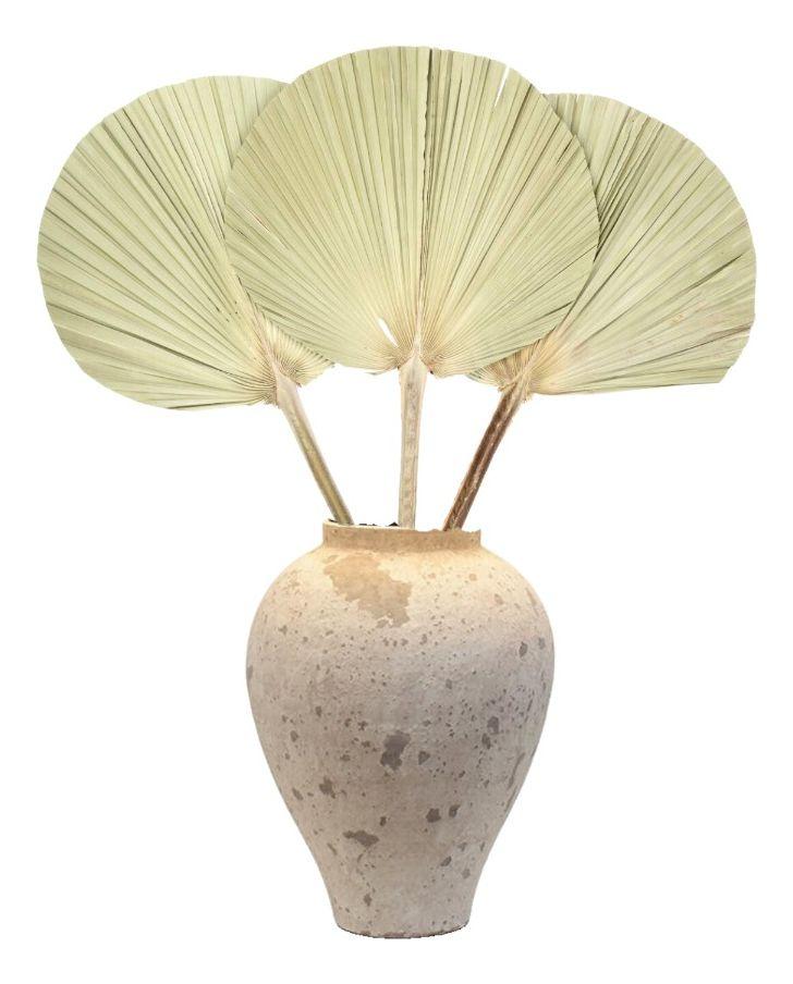 Set de 3 Abanico Grande Hojas Palma Natural Decoración Jhn-4