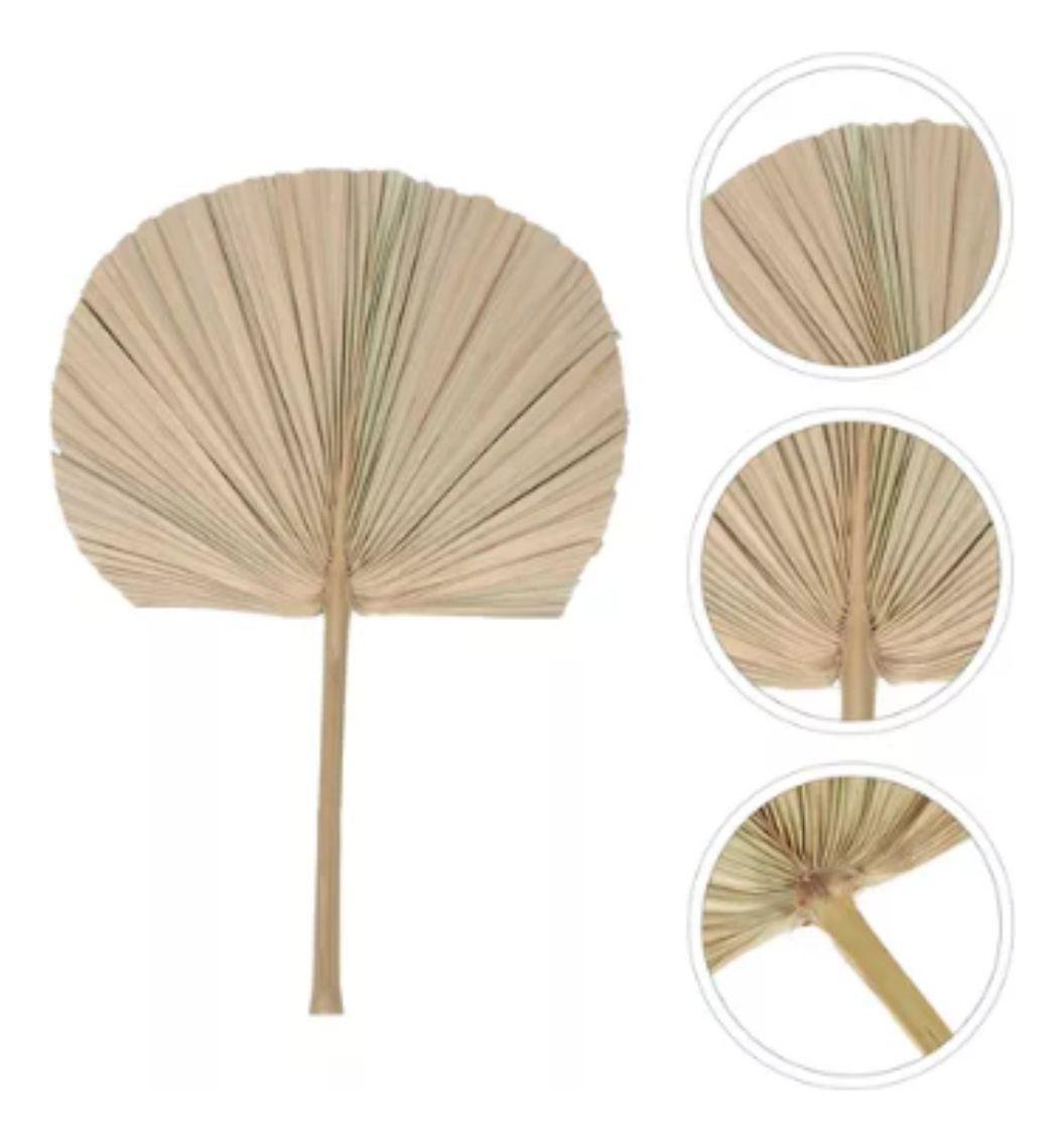 Set de 3 Abanico Grande Hojas Palma Natural Decoración Jhn-5