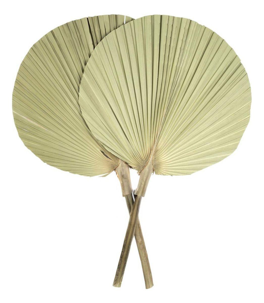 Set de 3 Abanico Grande Hojas Palma Natural Decoración Jhn-6