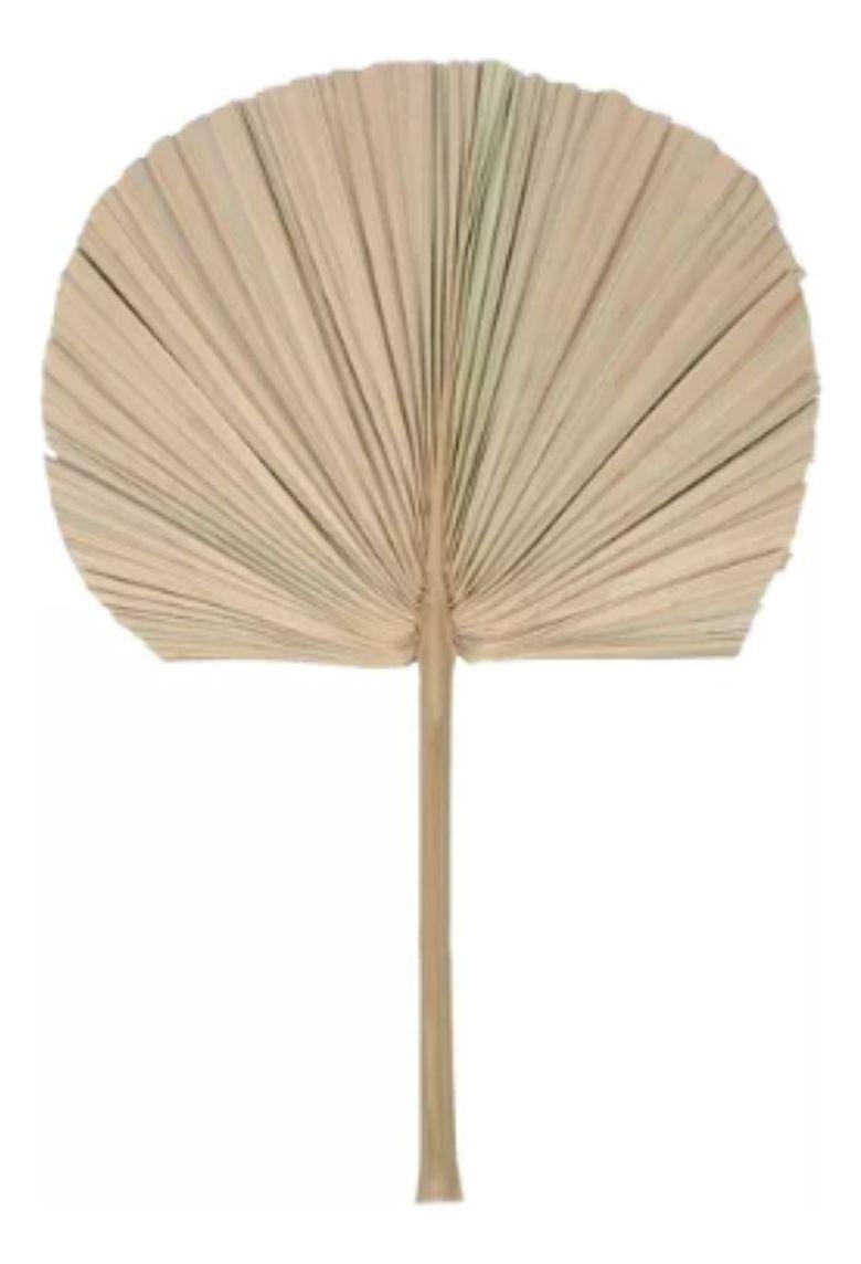 Set de 3 Abanico Grande Hojas Palma Natural Decoración Jhn-8