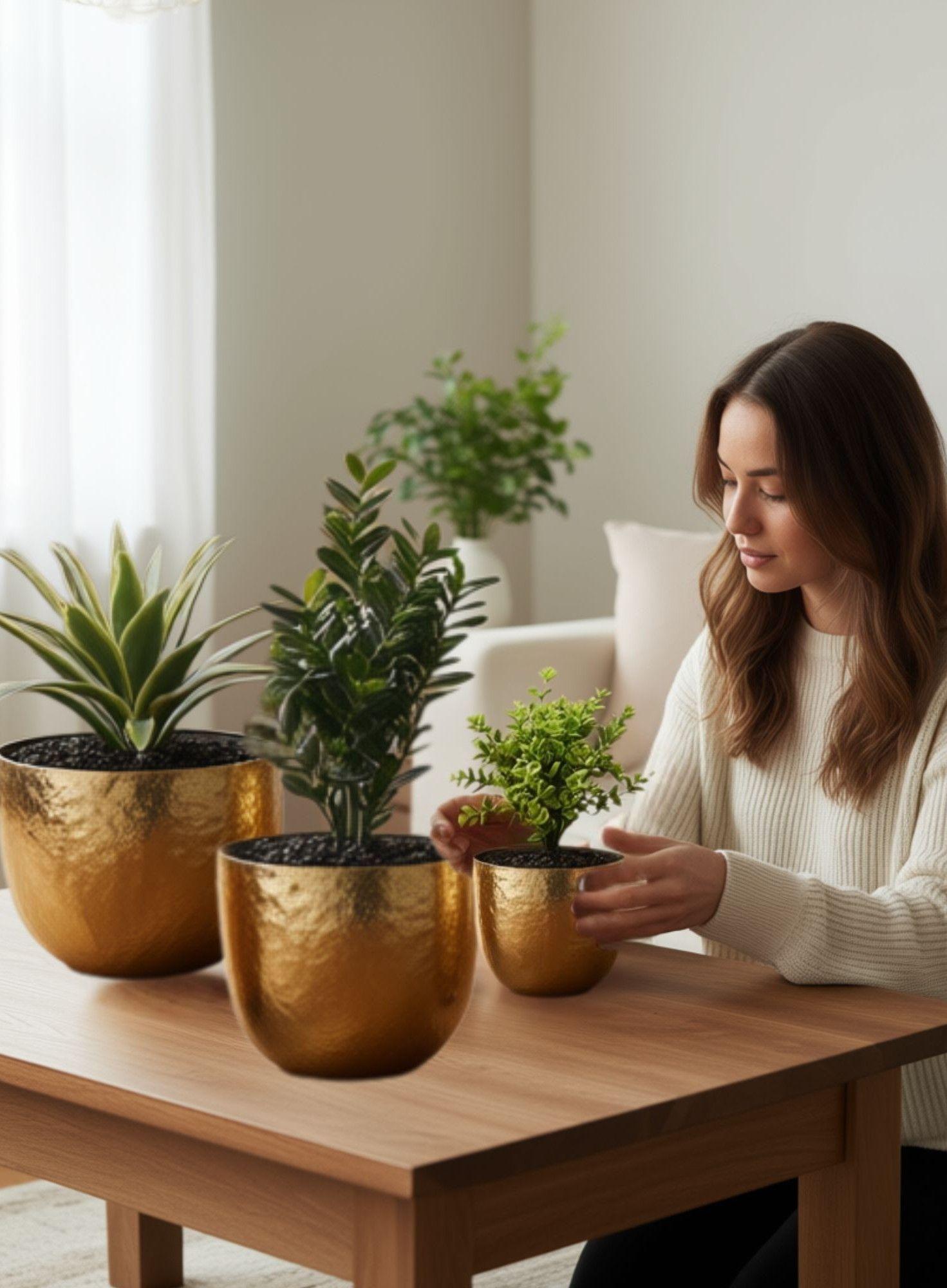 Set 3 Maceta Decorativa Multifuncional Elegante Versátil Jhn-4