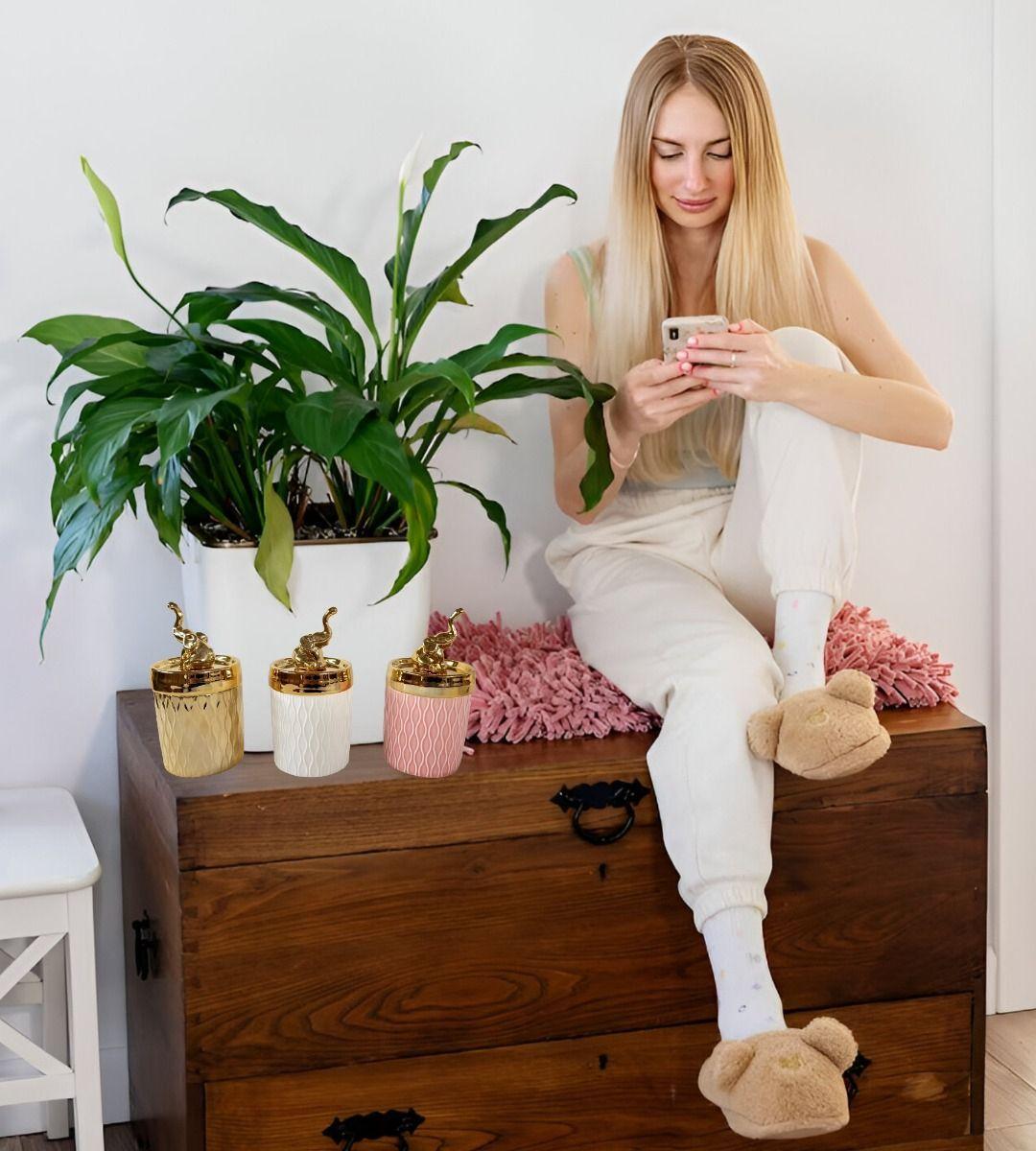 Set 2 Tarro Decorativo Organizador Joyas Tapa Ciervo Jhn-5