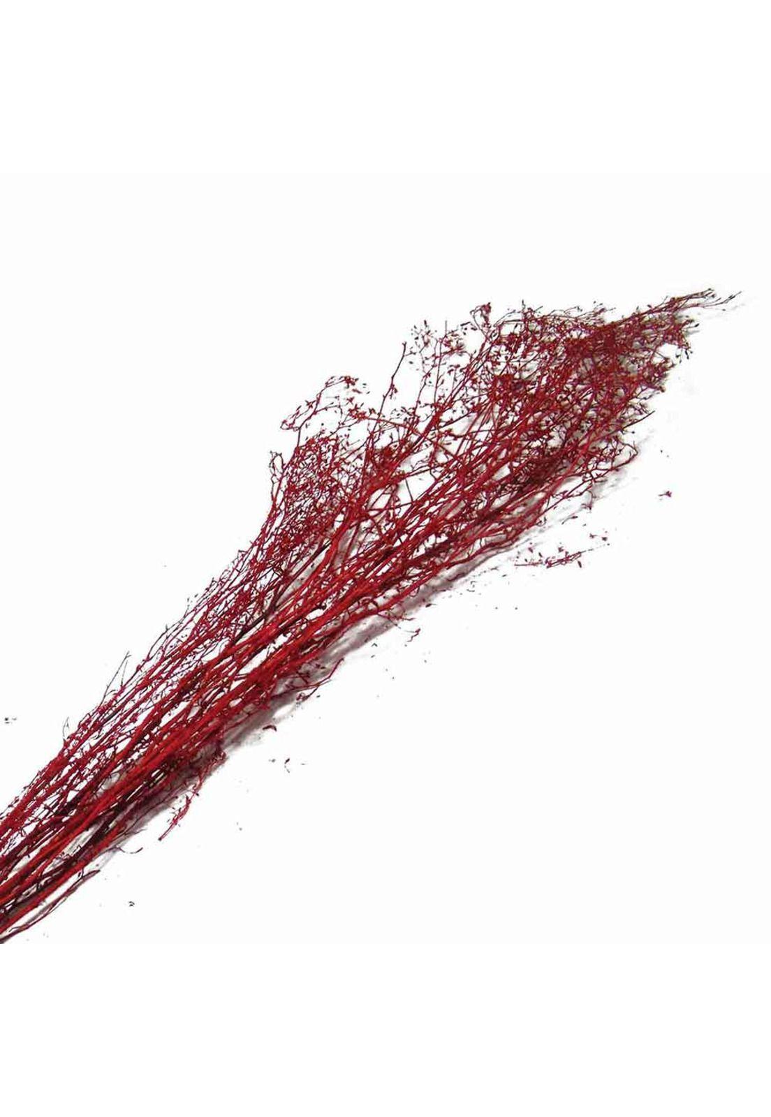 Arreglo Ramas Secas Burdeo-1