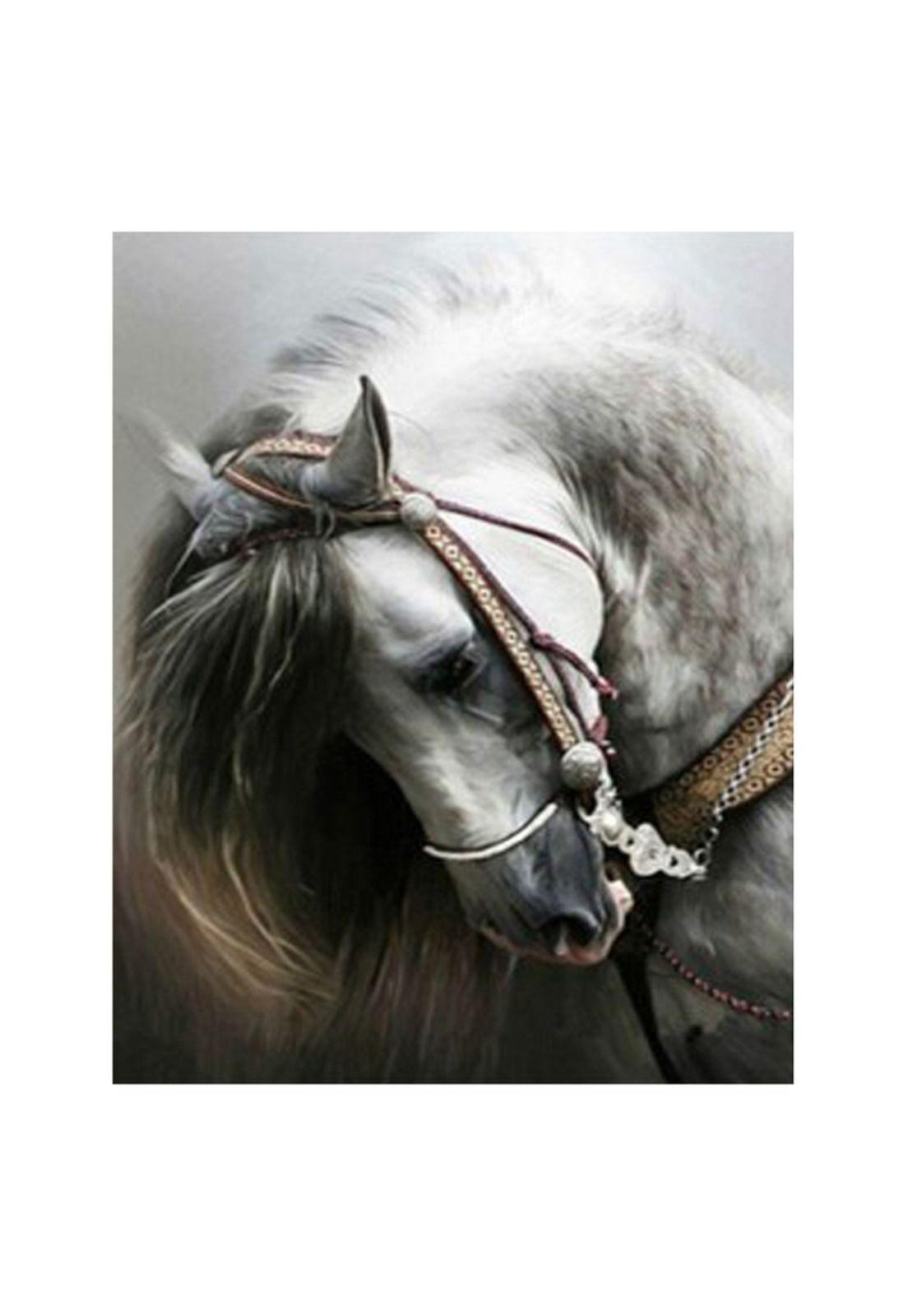 Set para pintar con Diamantes - Caballo-0