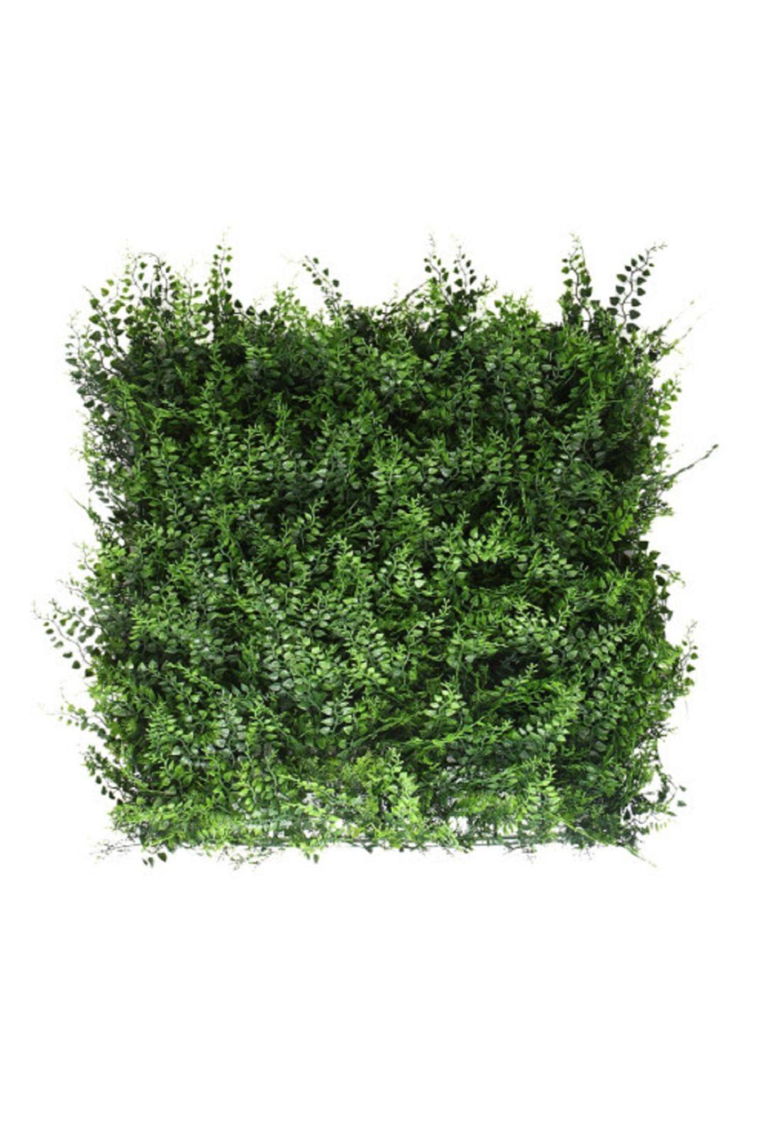 Jardin Vertical Helecho Hbfa23 Signet-0