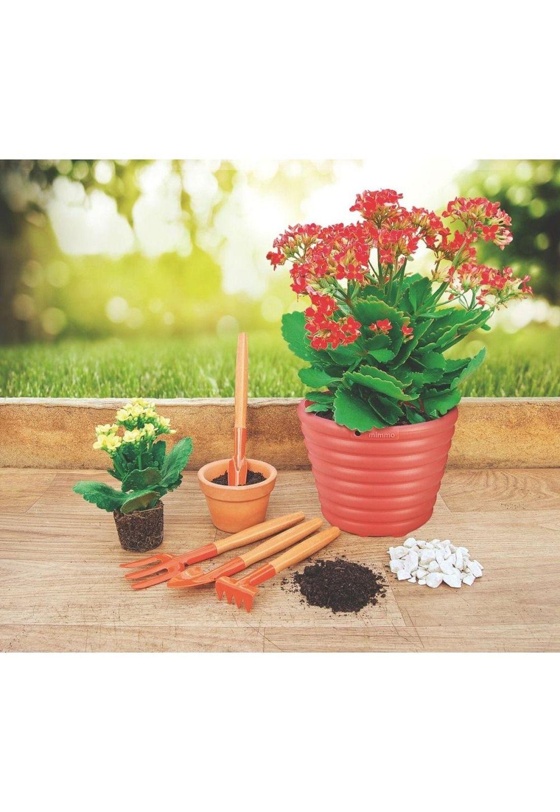 Kit para jardin 4 piezas, mangos madera Tramontina-2