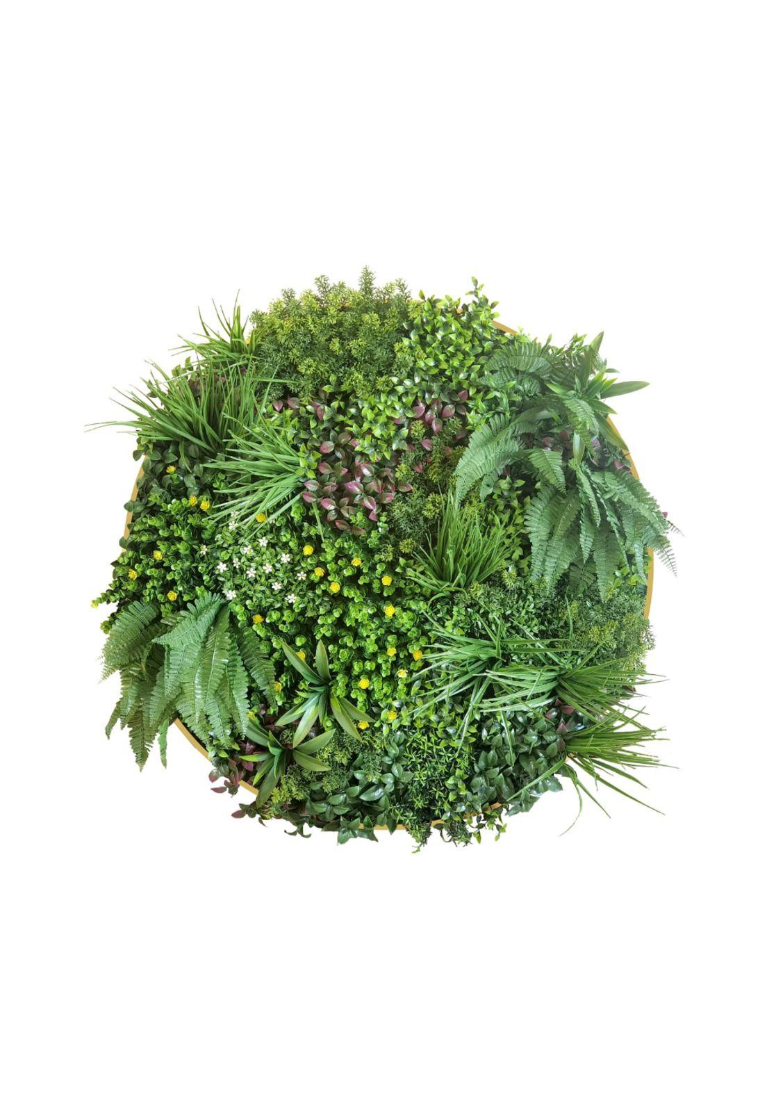 Jardin Vertical Valhalla Hbfa22 Signet-0