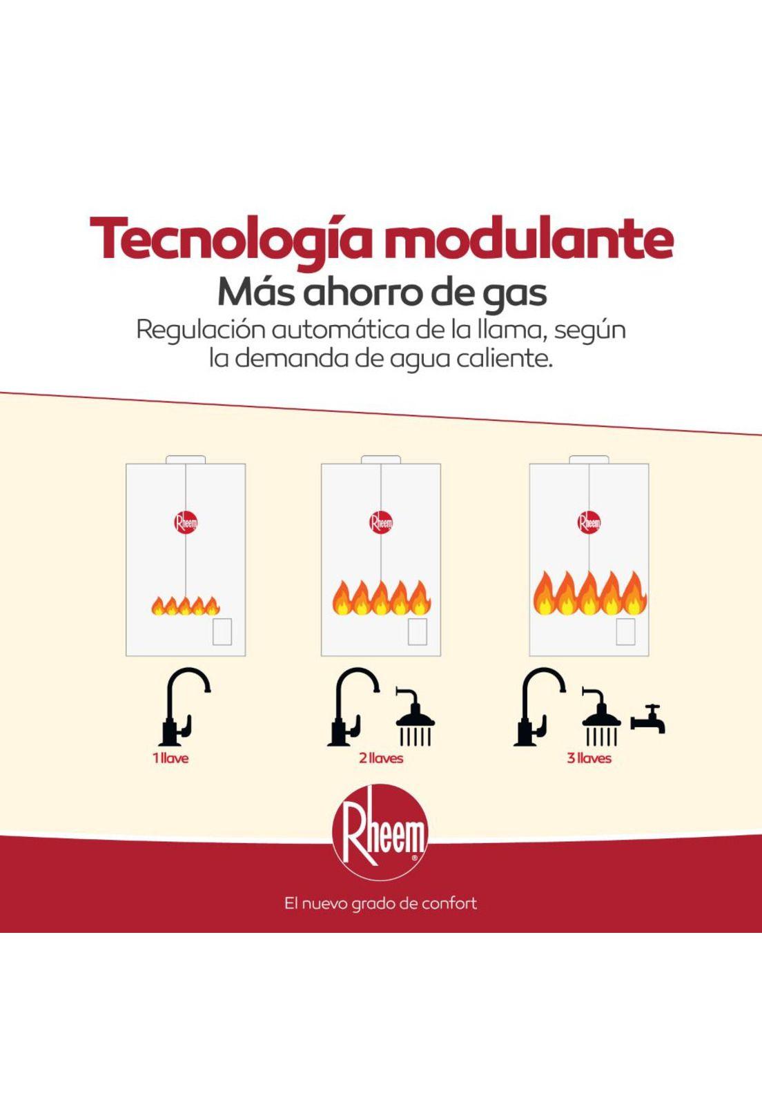 Calefon Tiro Forzado 18 L Gas Licuado (SIN KIT) Rheem-2