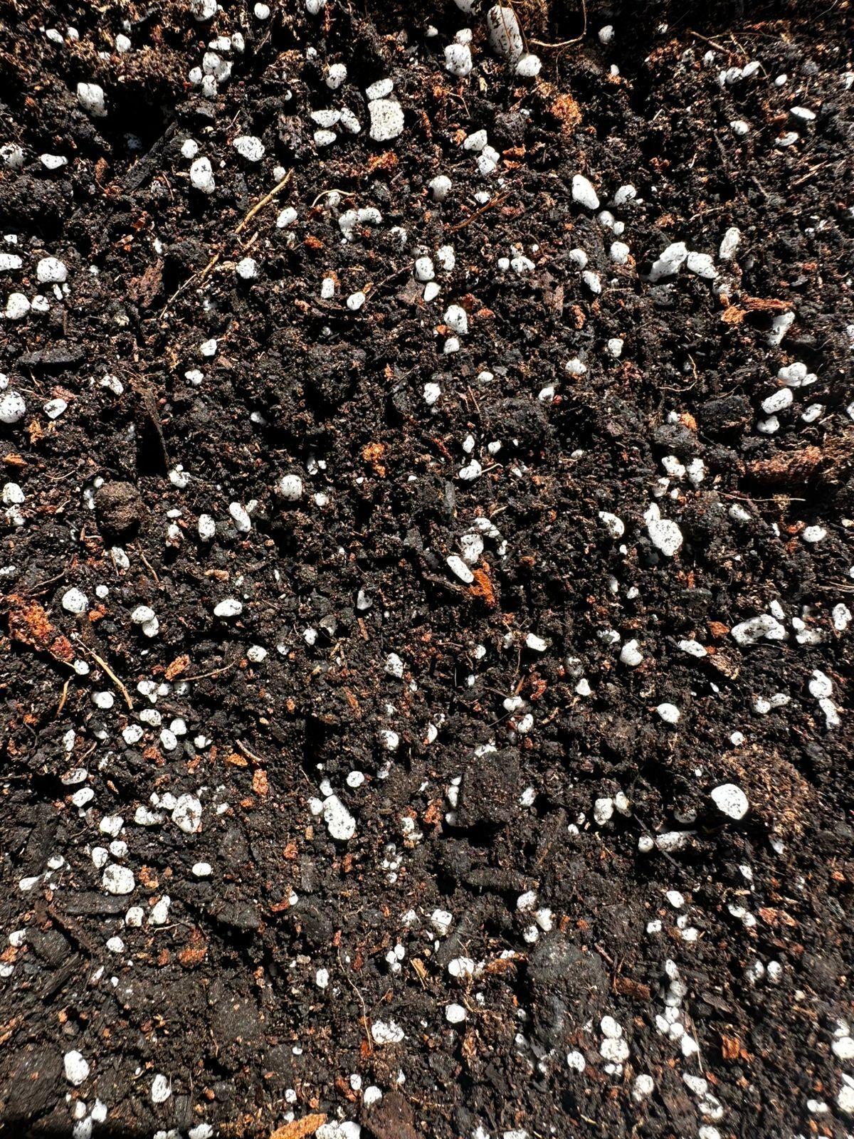 Sustrato Mix para Plantas De Interior y Exterior 5 Litros-2