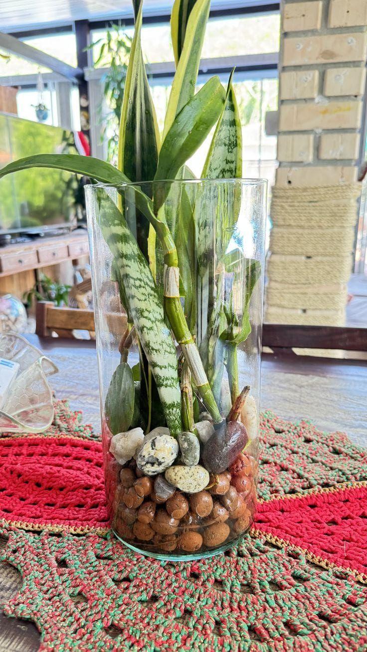 Leca Arlita O Arcilla Expandida 12 Litros-2