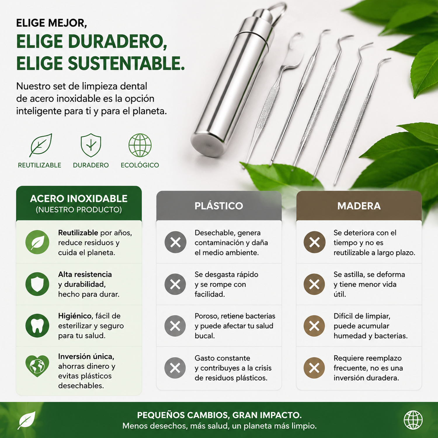 Kit limpieza dental para hilo cero inoxidable-2