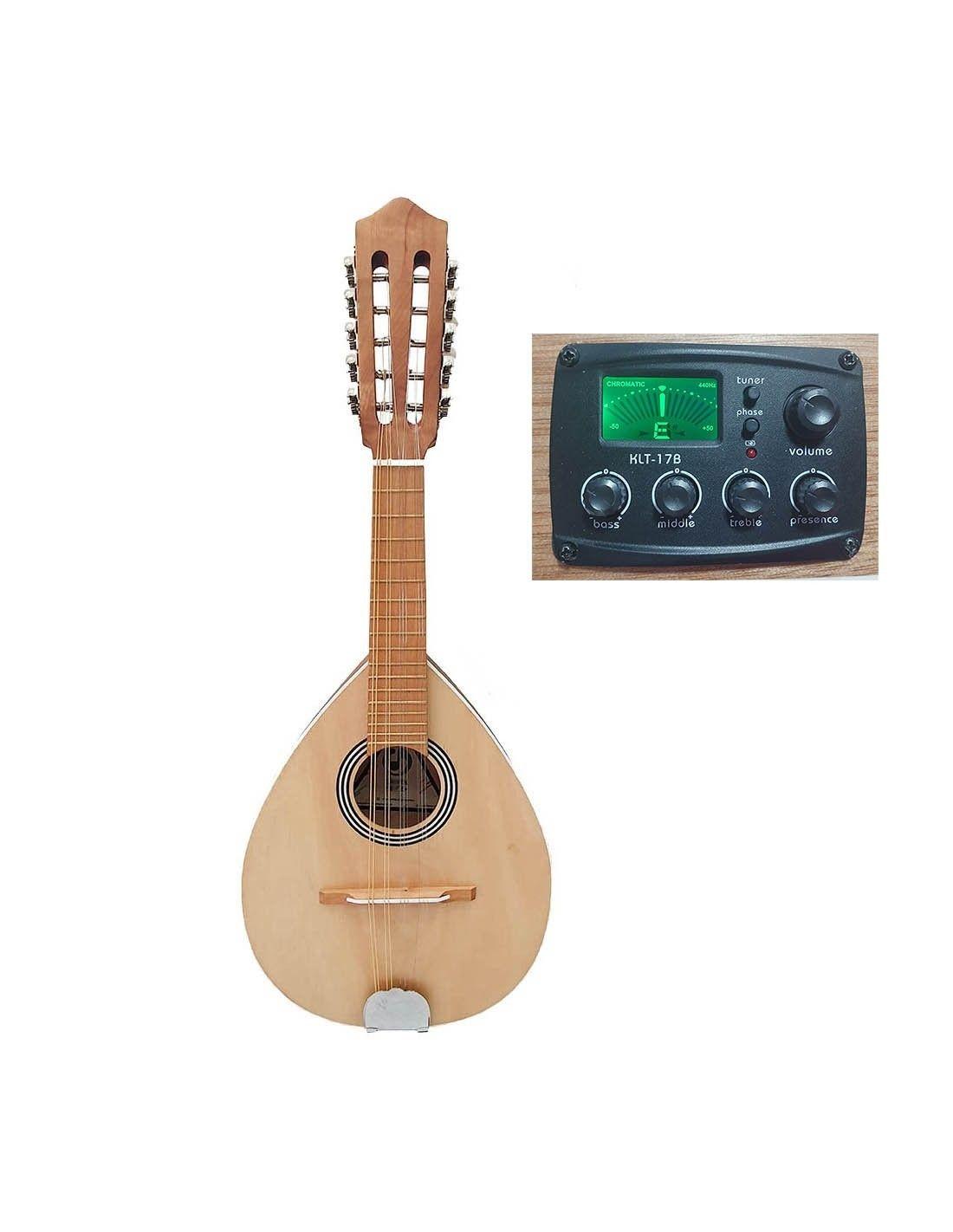 Mandolina Electro Acustica 10 Cuerdas-0