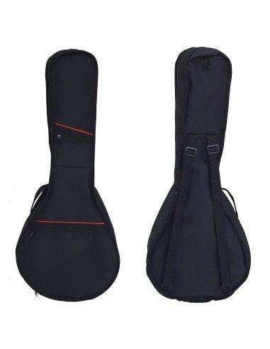 Mandolina Electro Acustica 10 Cuerdas-1