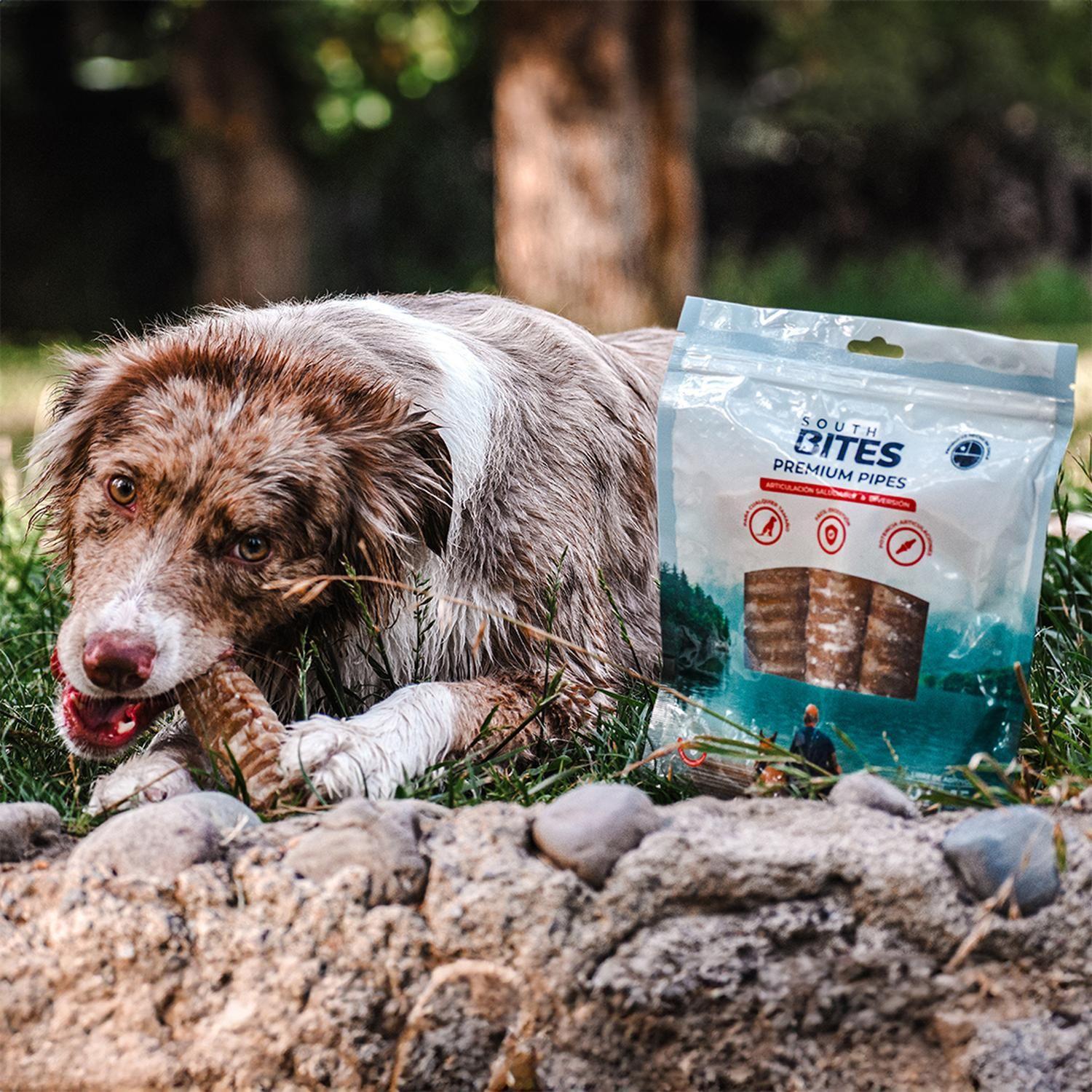 Snack Para Perros Premium Pipes Sin aditivos South Bites-2