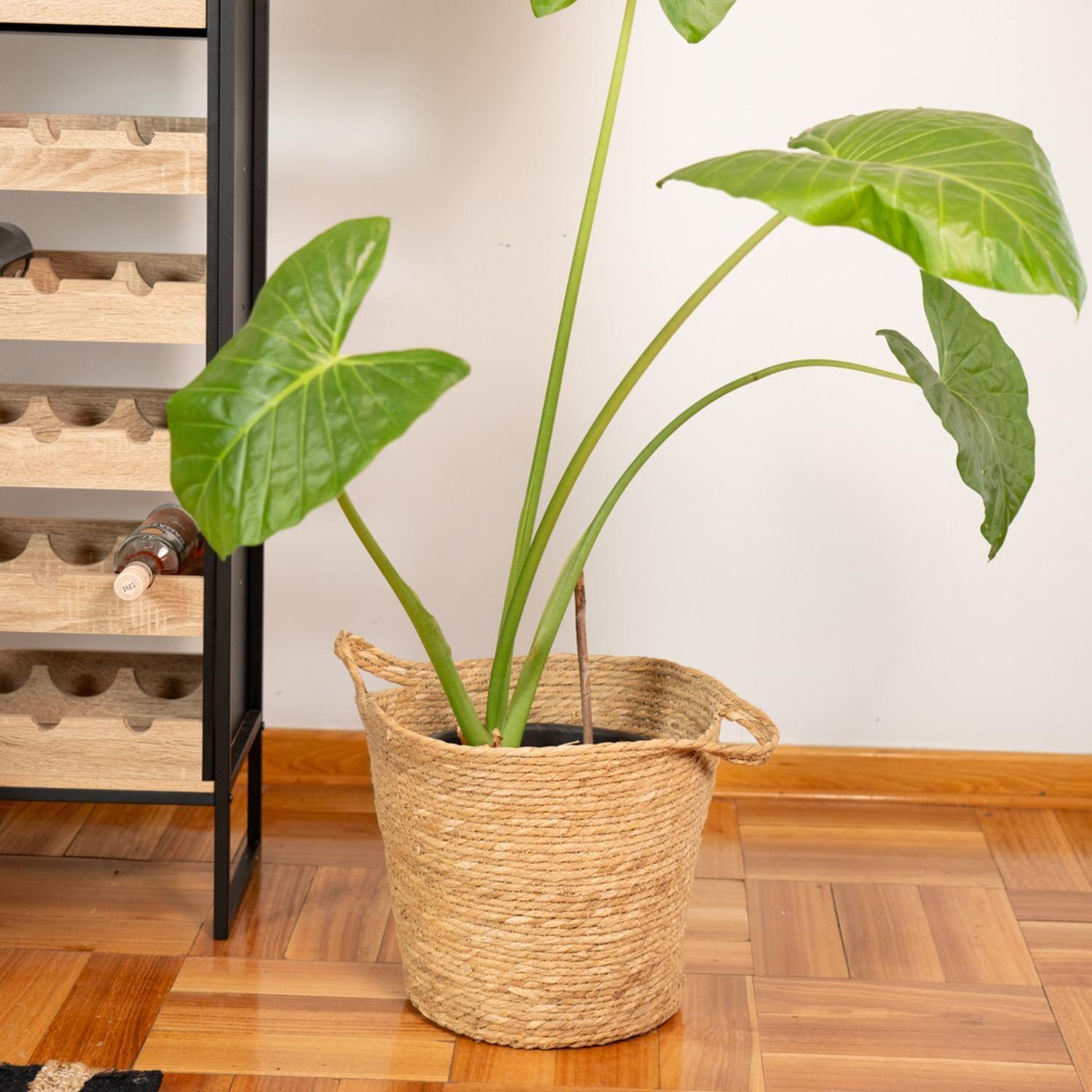 Canasto Yute Natural 38x34 cm DAY-3