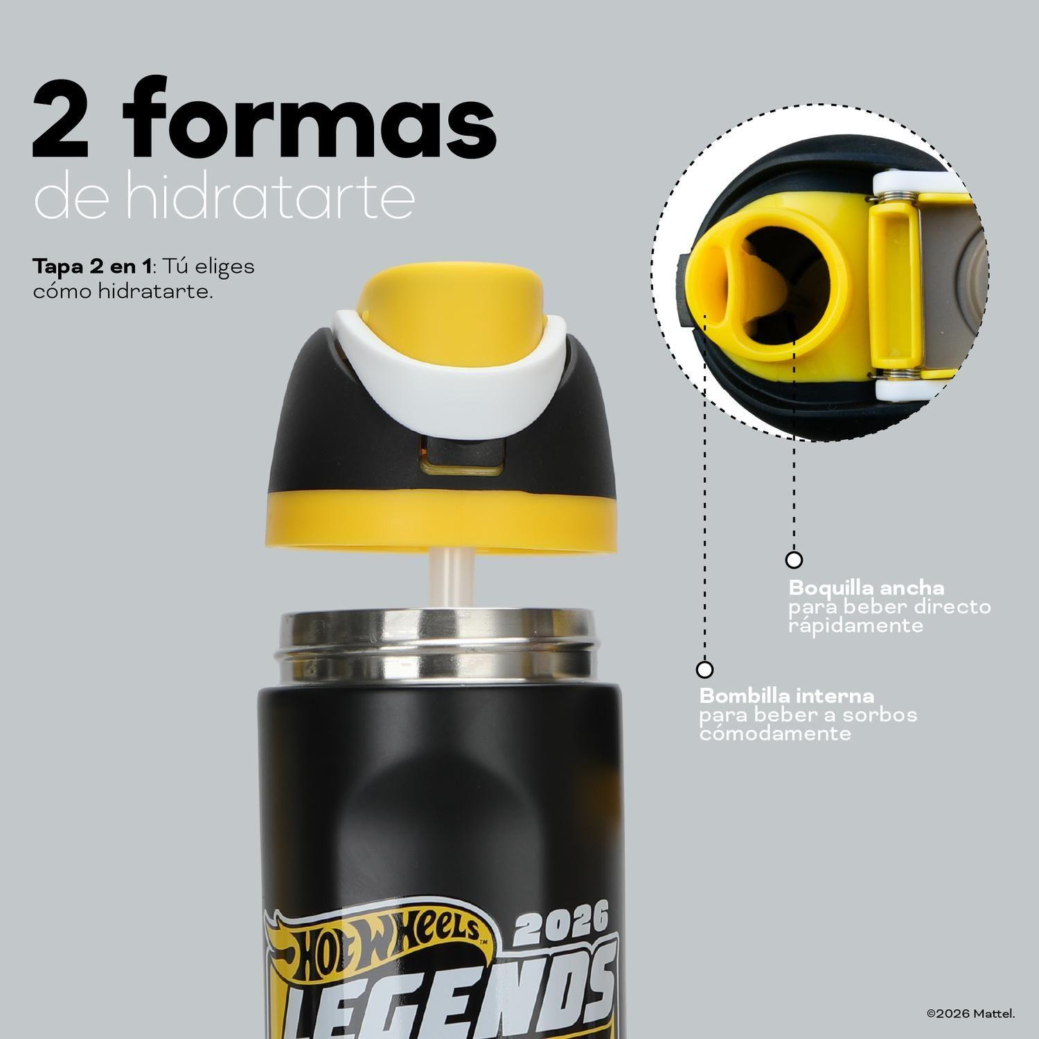 Botella Térmica Insulada Hot Wheels Legends 750 ml UMA-4