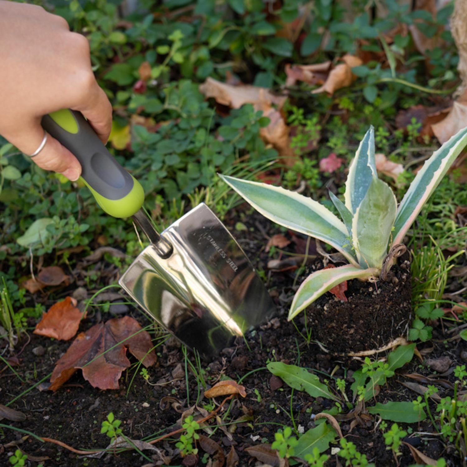 Pala Jardinera Acero Inoxidable Y Mango Antideslizante Grouw-3