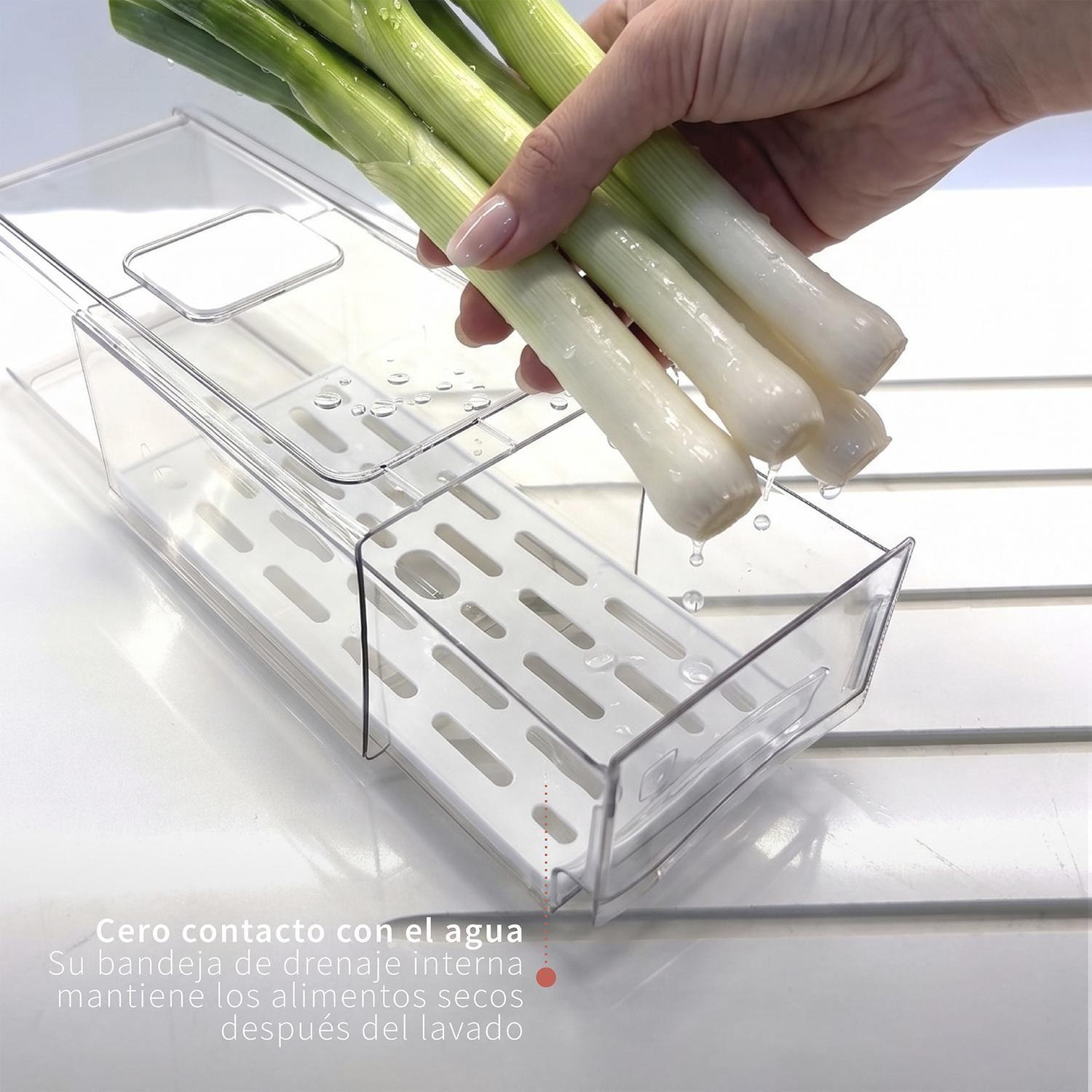 Organizador Refrigerador con Drenaje S Simplit-3