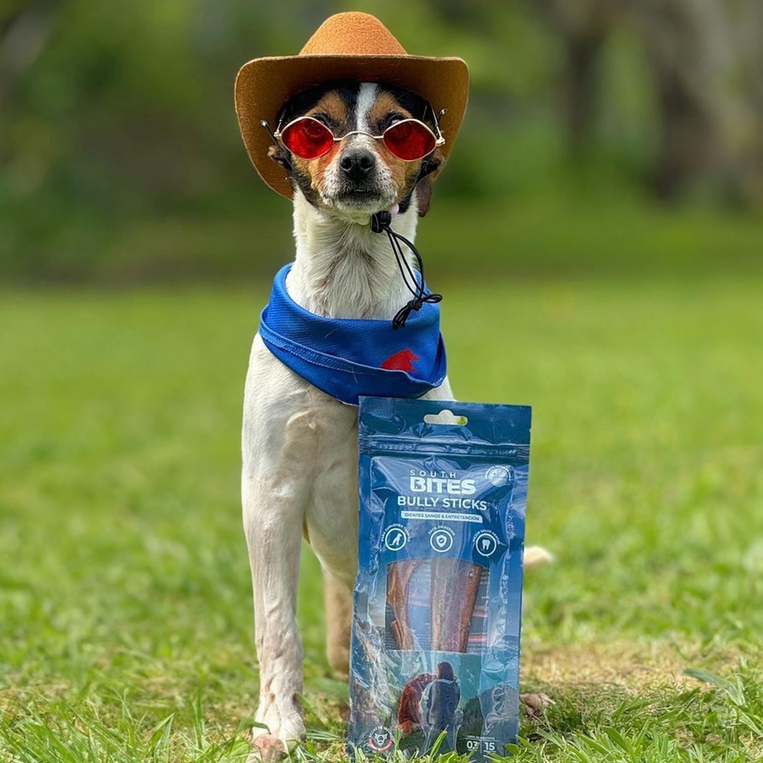 Snack Para Perros Bully Bites Sin aditivos South Bites-3