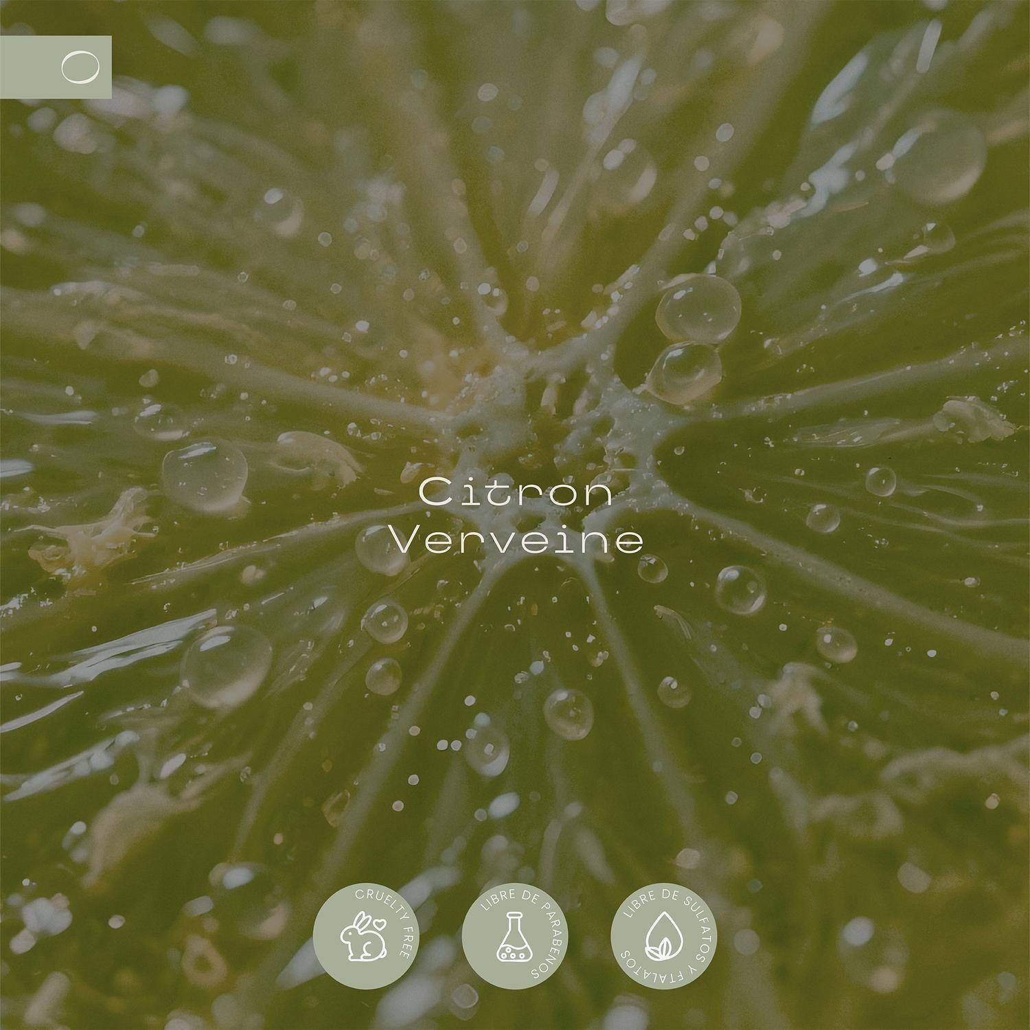 Pack Home Spray + Difusor Varitas Citron Verveine GOYA-3