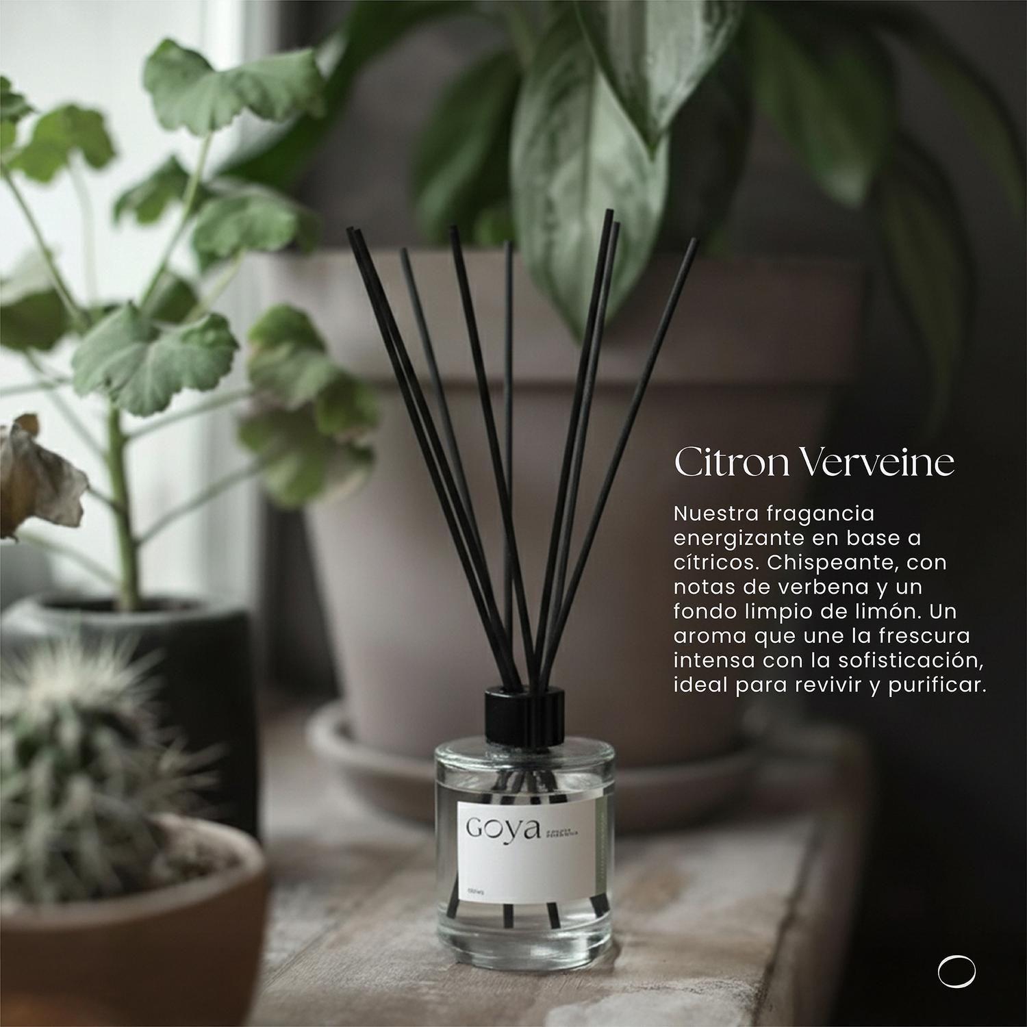 Pack Home Spray + Difusor Varitas Citron Verveine GOYA-6