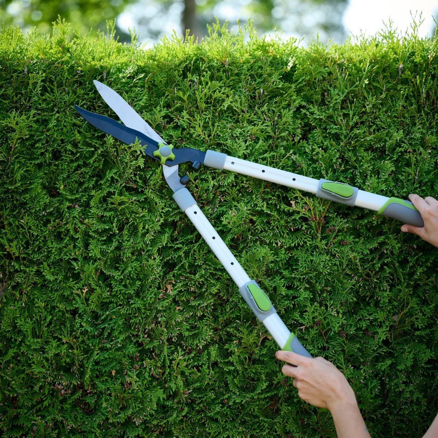 Tijeron Extensible Telescópica de Aluminio 58-78 Cm Grouw-3