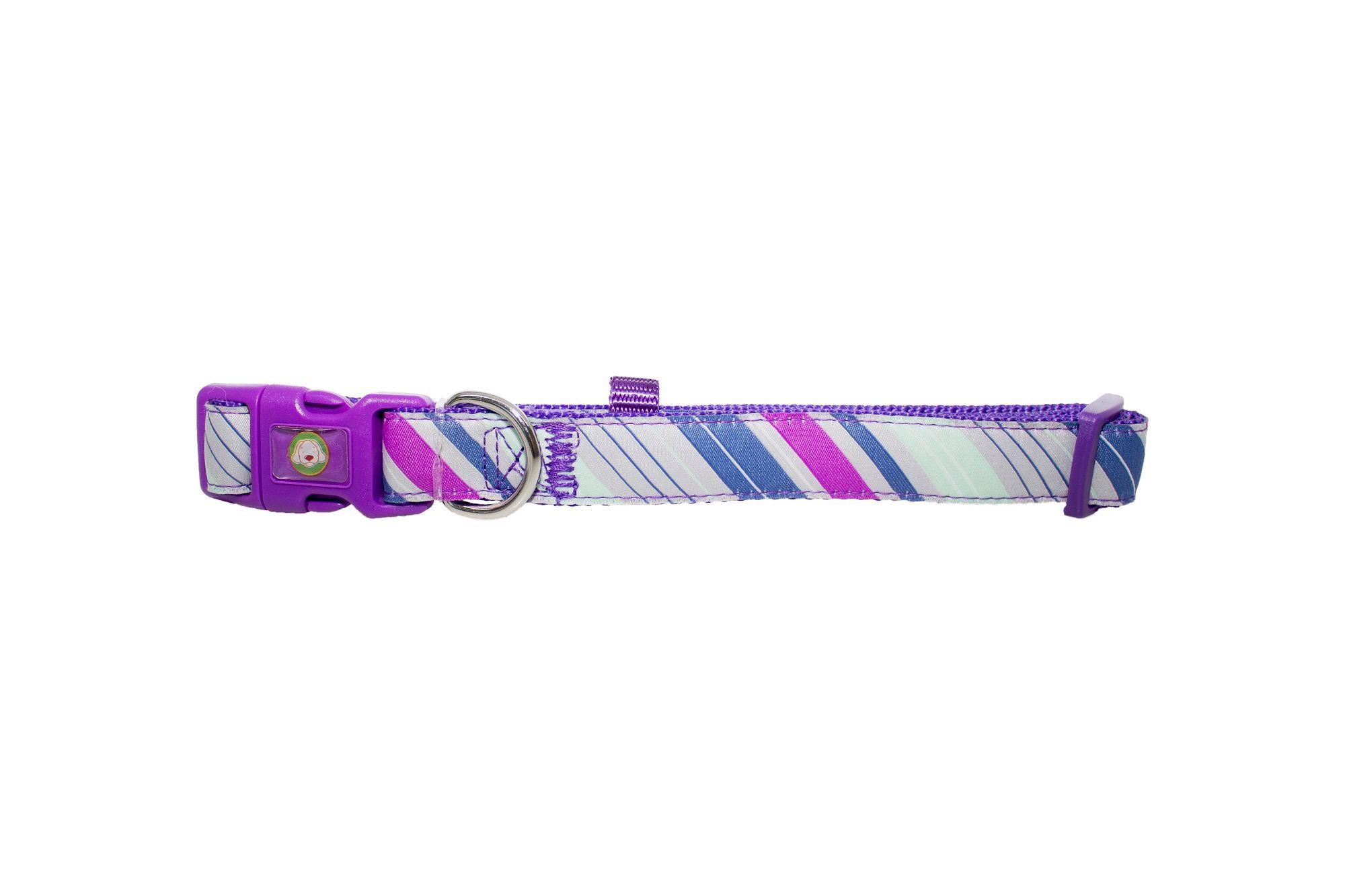 Collar Perro Diagonal L Morado Mascan-0