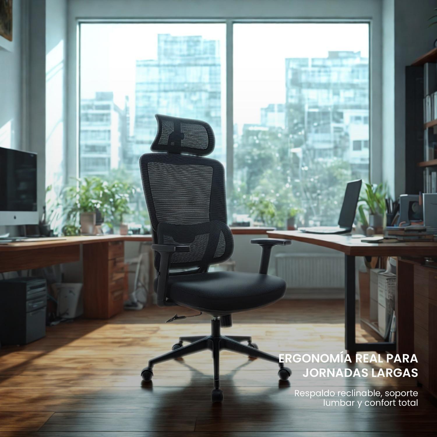 Silla Escritorio Oficina Ergonómica Reclinable Ergotech LEVO-6