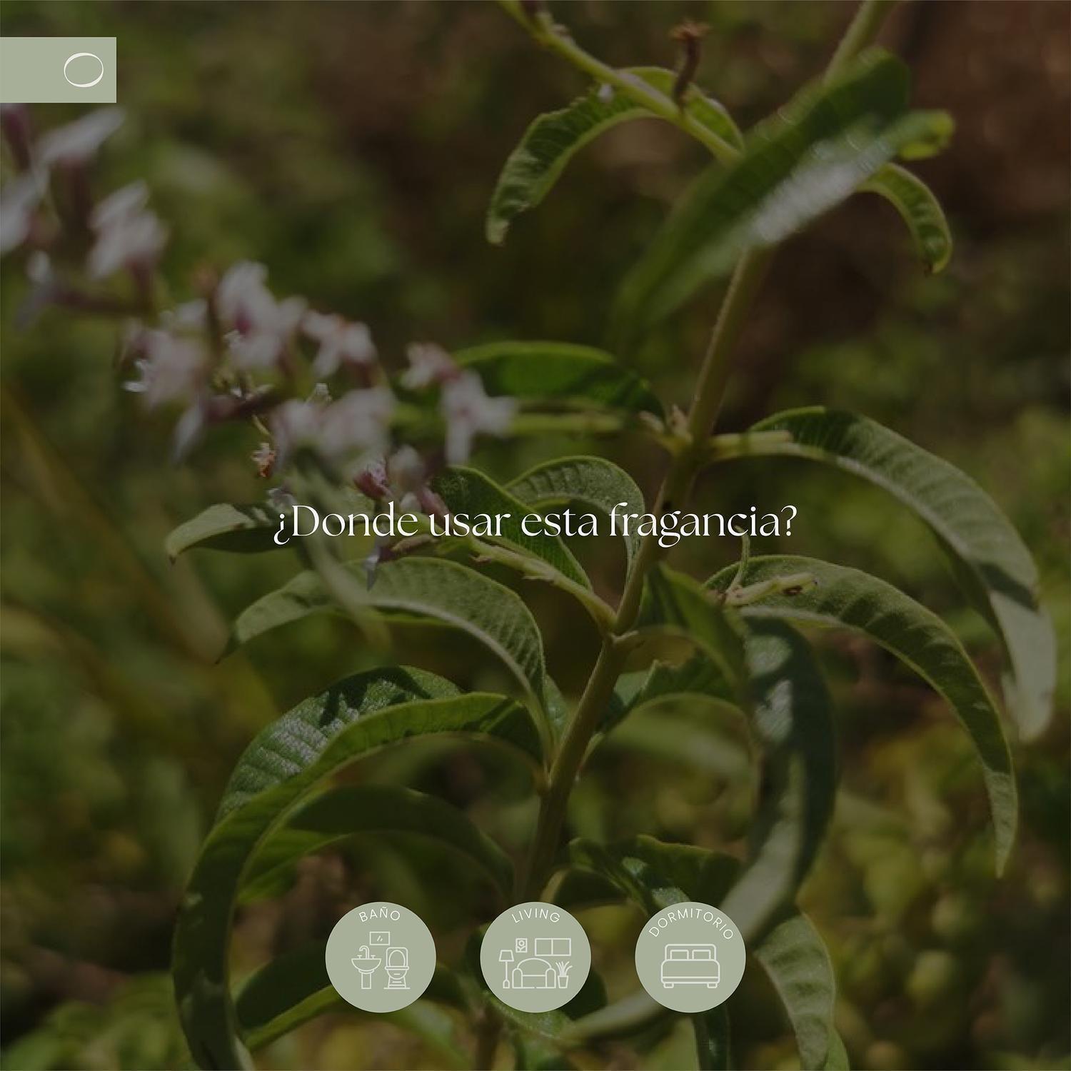 Home Spray Citron Verveine 500 ml GOYA-2