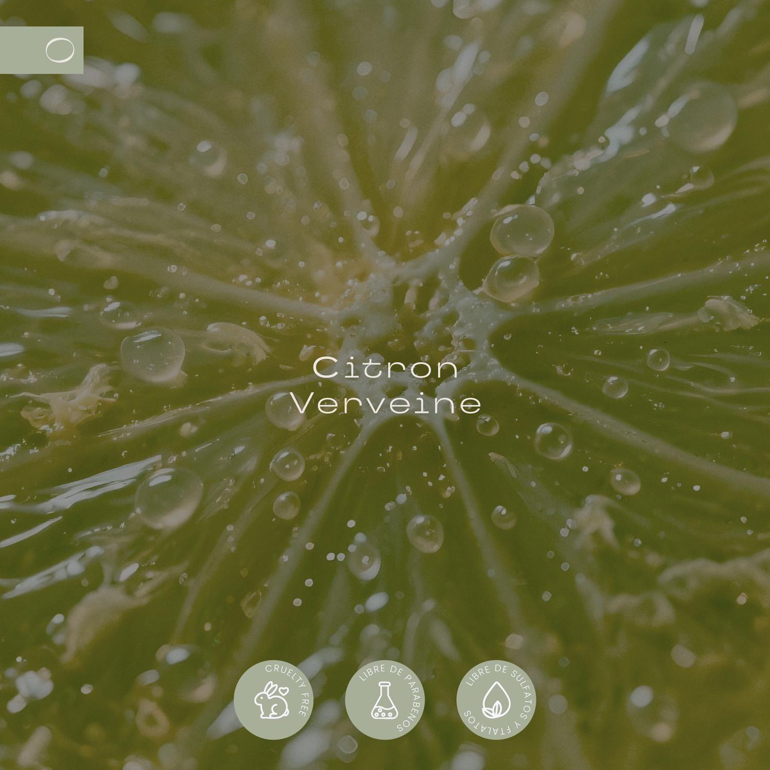 Home Spray Citron Verveine 500 ml GOYA-5