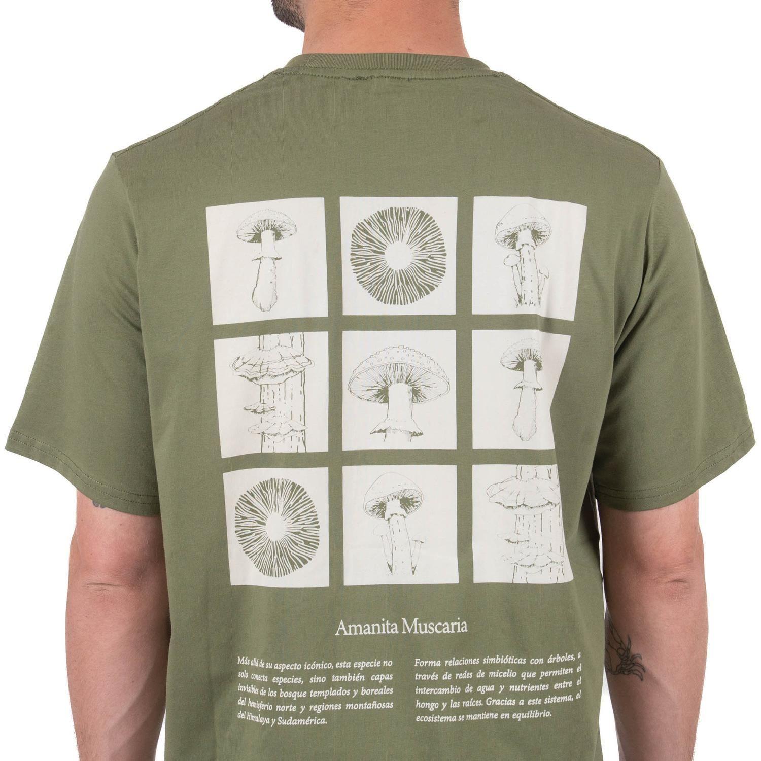 Polera Hombre Manga Corta Reino Fungi-5