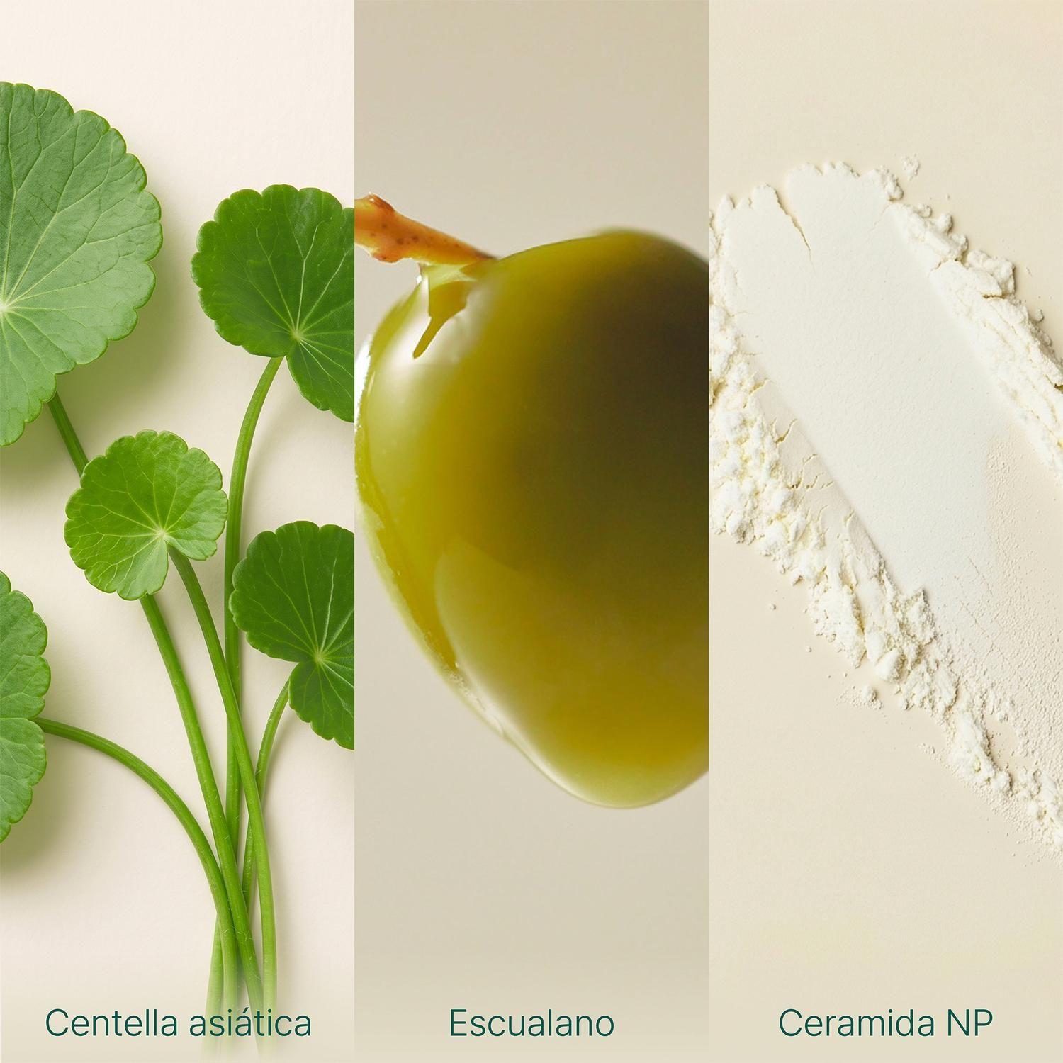 Crema Facial Centella 50ml Purito Wonder Releaf Sin Perfume-4