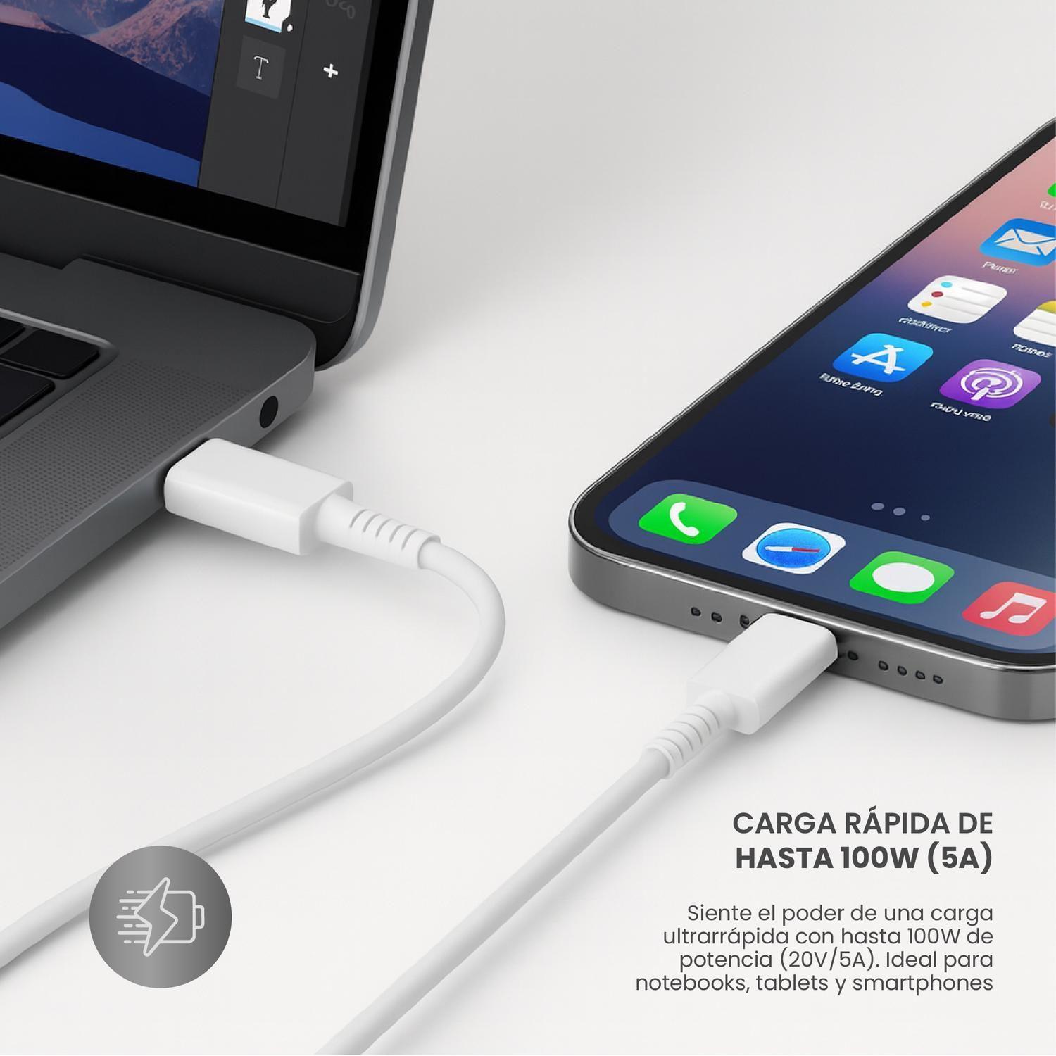Cable De Carga Rápida USB-C 100W 5A 1Mt LEVO-2