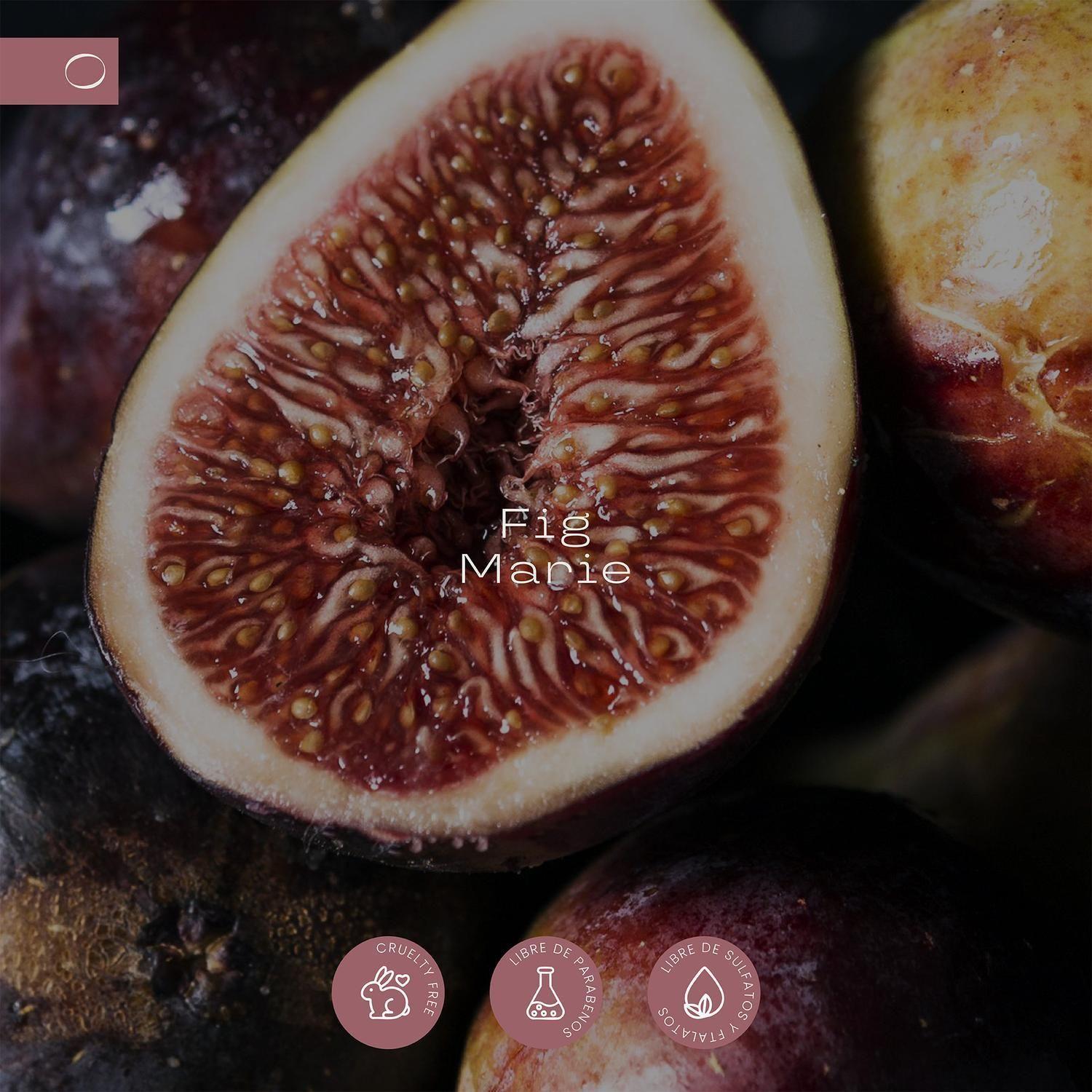 Pack Home Spray + Difusor Varillas Fig Marie GOYA-3