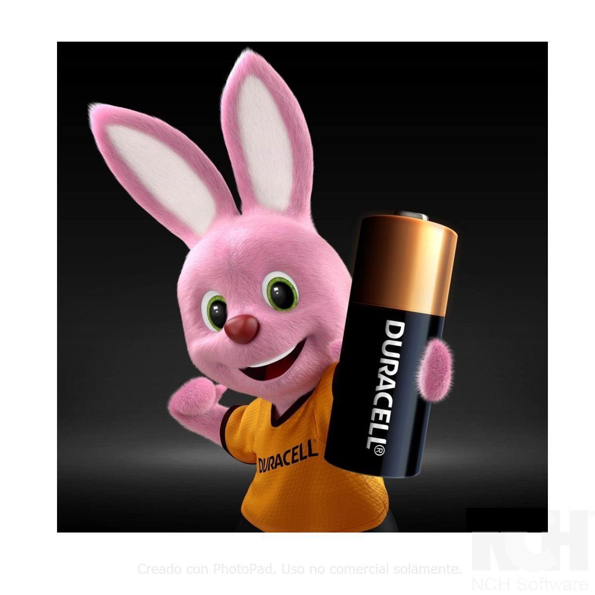 Pila Duracell Alcalina 12v 21/23 Mn21/A23 -1