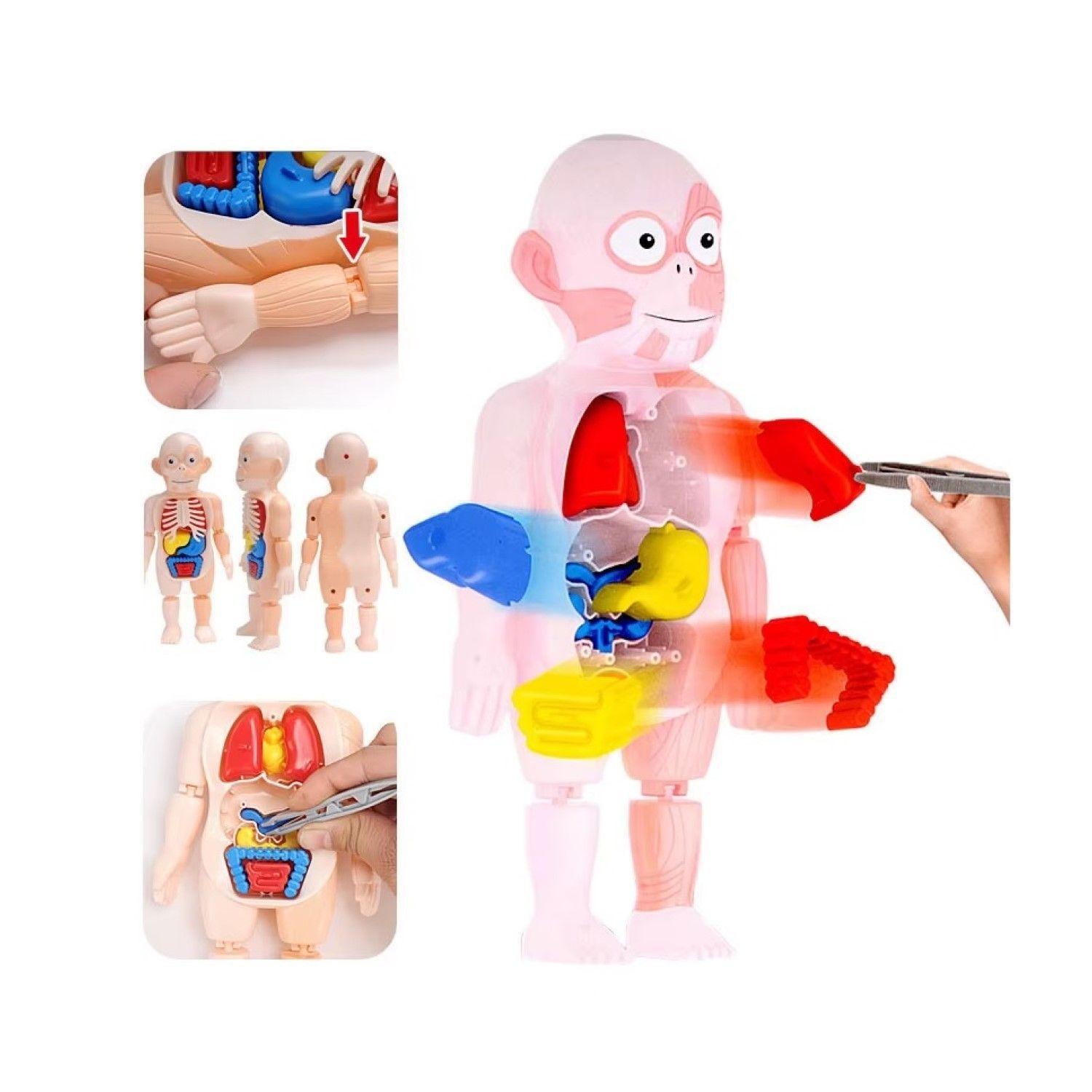 Juguete Rompecabezas Anatomía del Cuerpo Humano 55706-3
