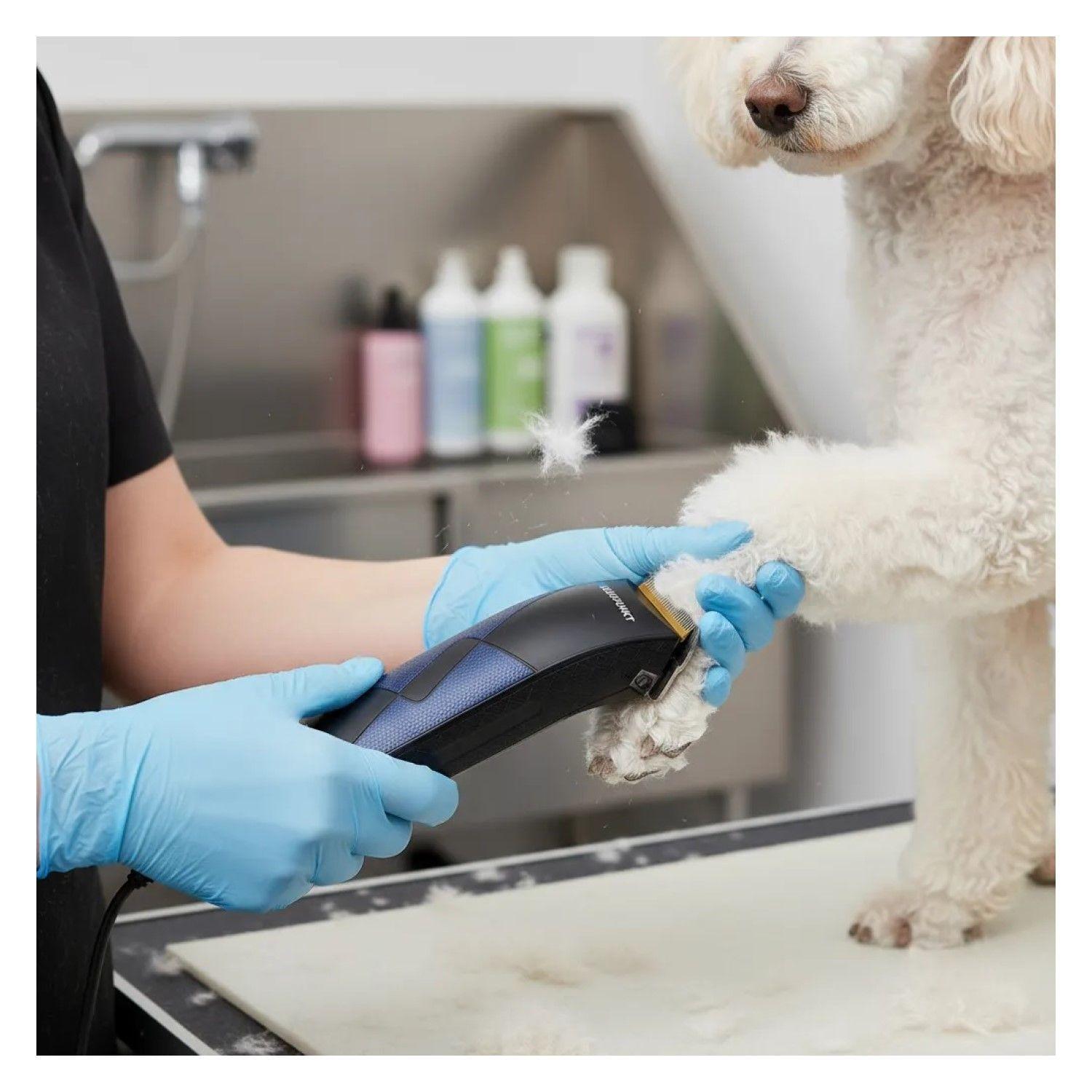 Cortadora de Pelo para Mascotas Vet Clipper Azul Blaupunkt-5