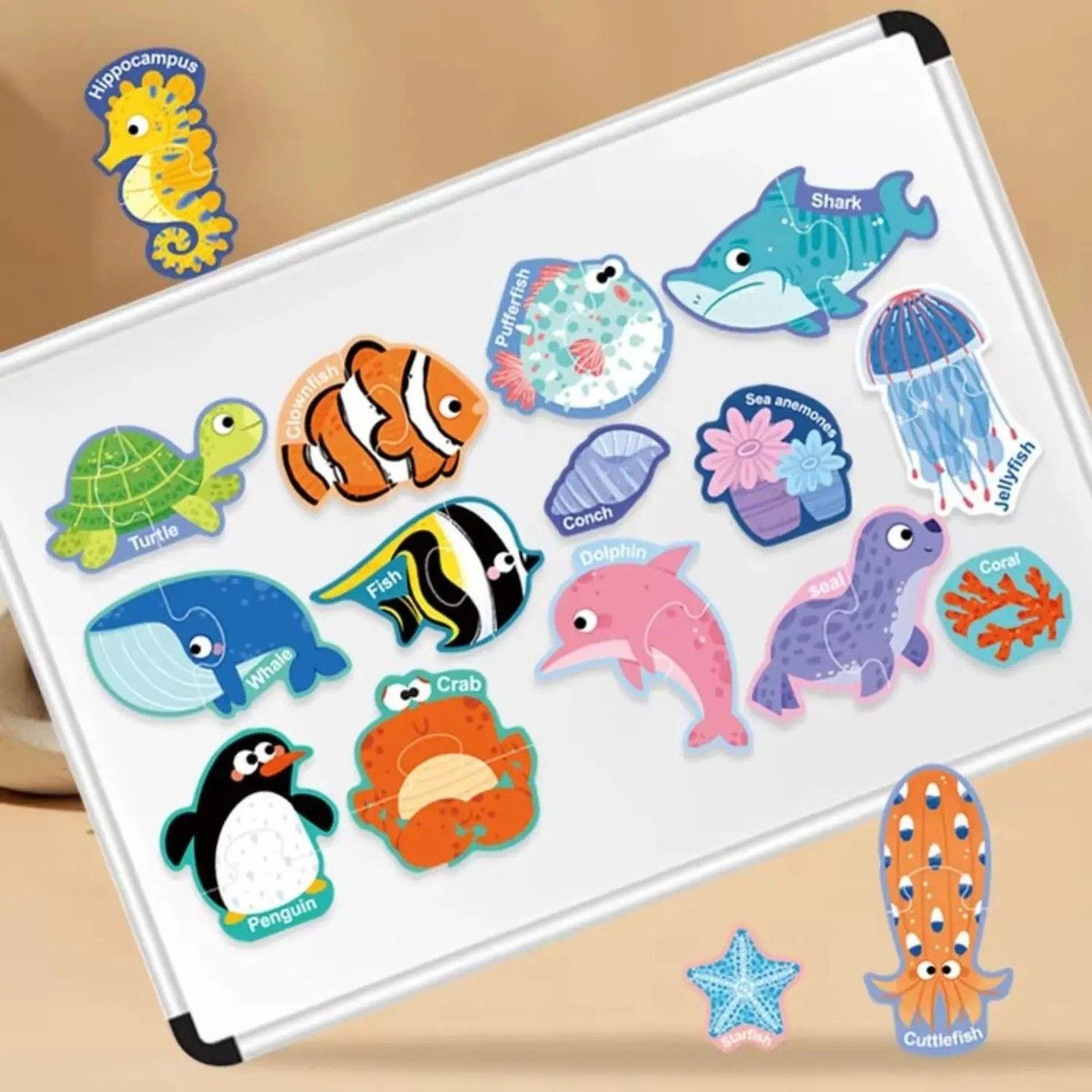 Set 17 Mini Puzzles Magnéticos De Animales Del Oceano-2