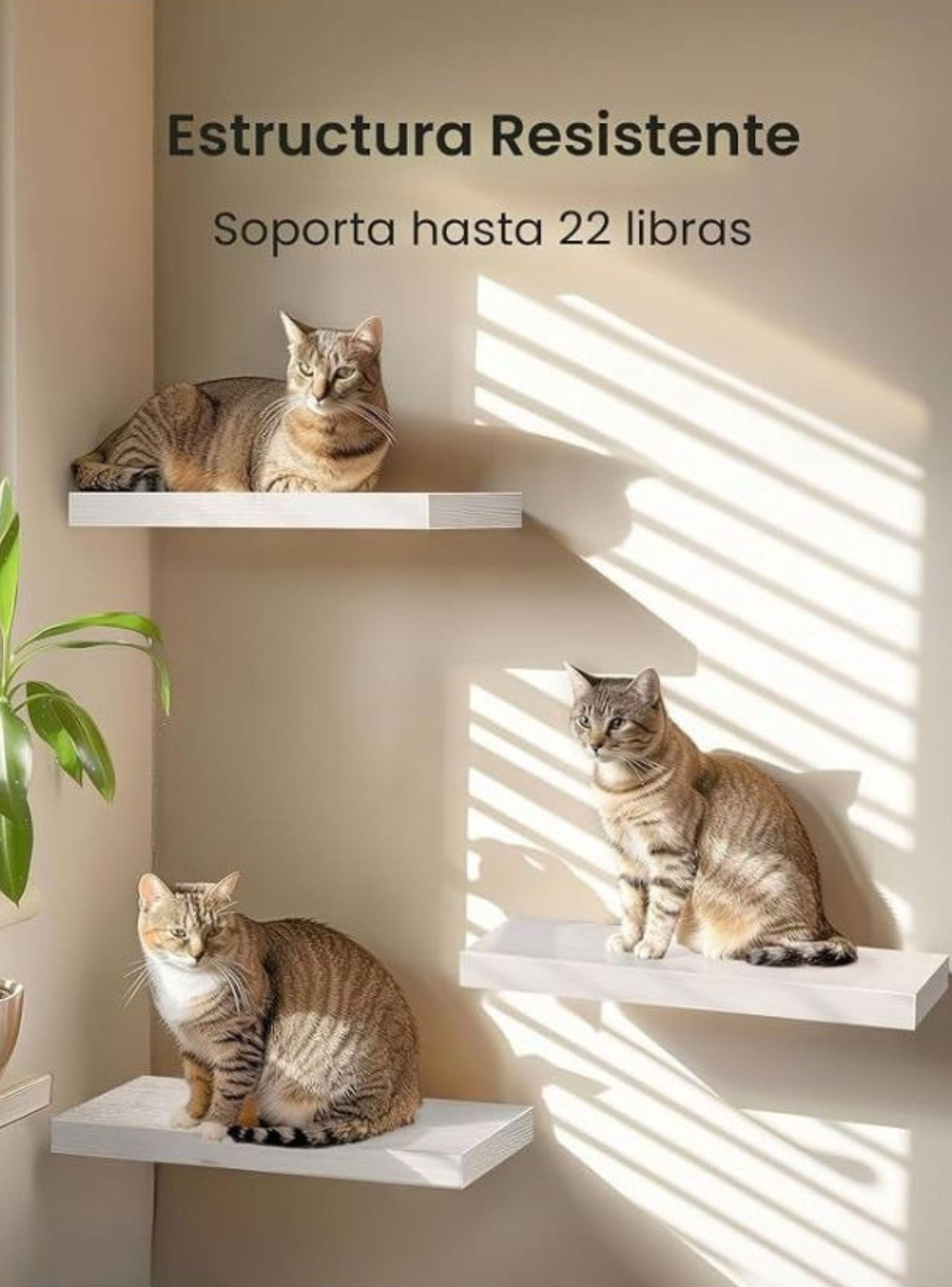 Repisa Flotante Minimalista Madera Blanca Organizador 40cm-4