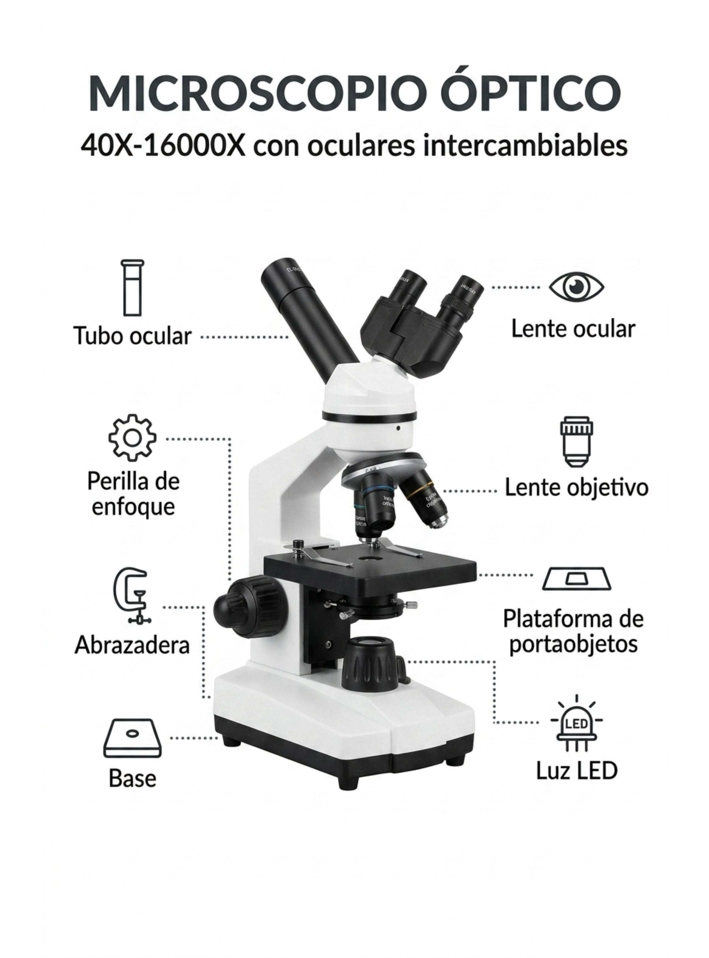 Microscopio Científico Infantil Escolar Juguete Stem Niños-3