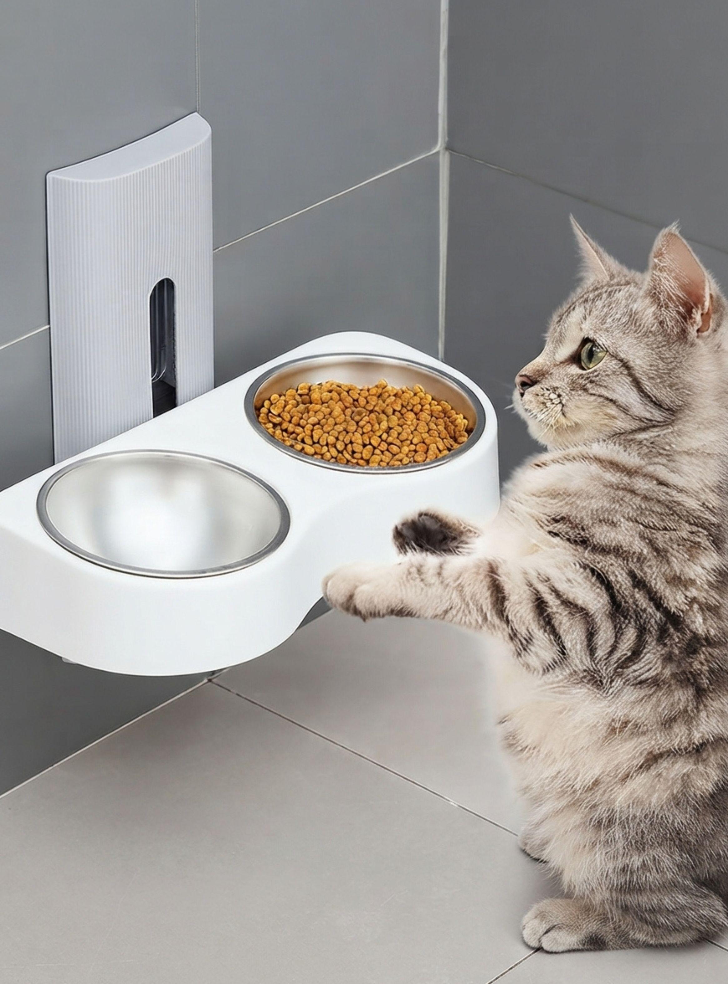 Comedero Doble De Pared Para Gatos Perros Altura Ajustable-2