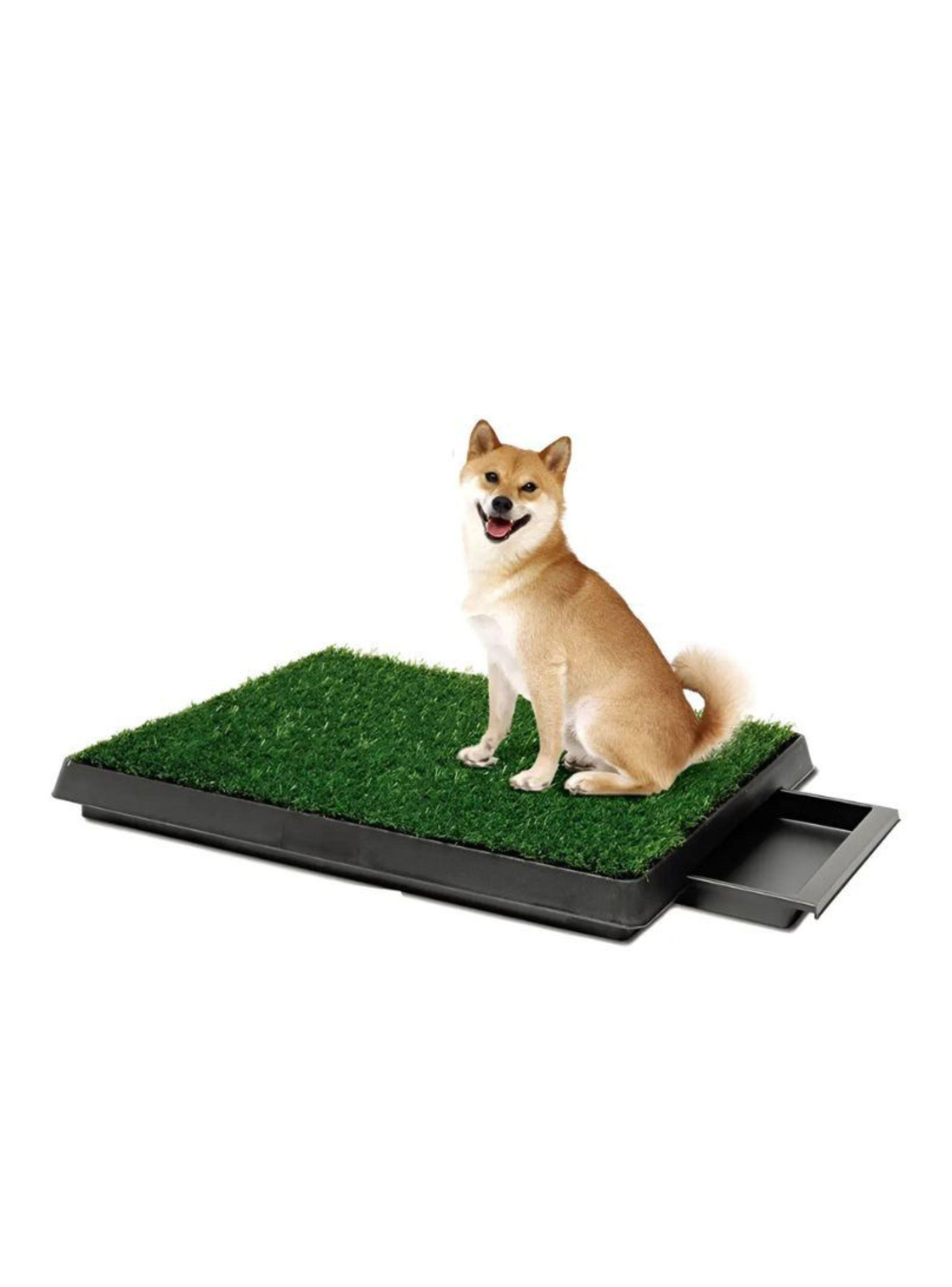 Baño Ecológico Para Perro Césped Sintético Con Bandeja 60x50 Talla M-0