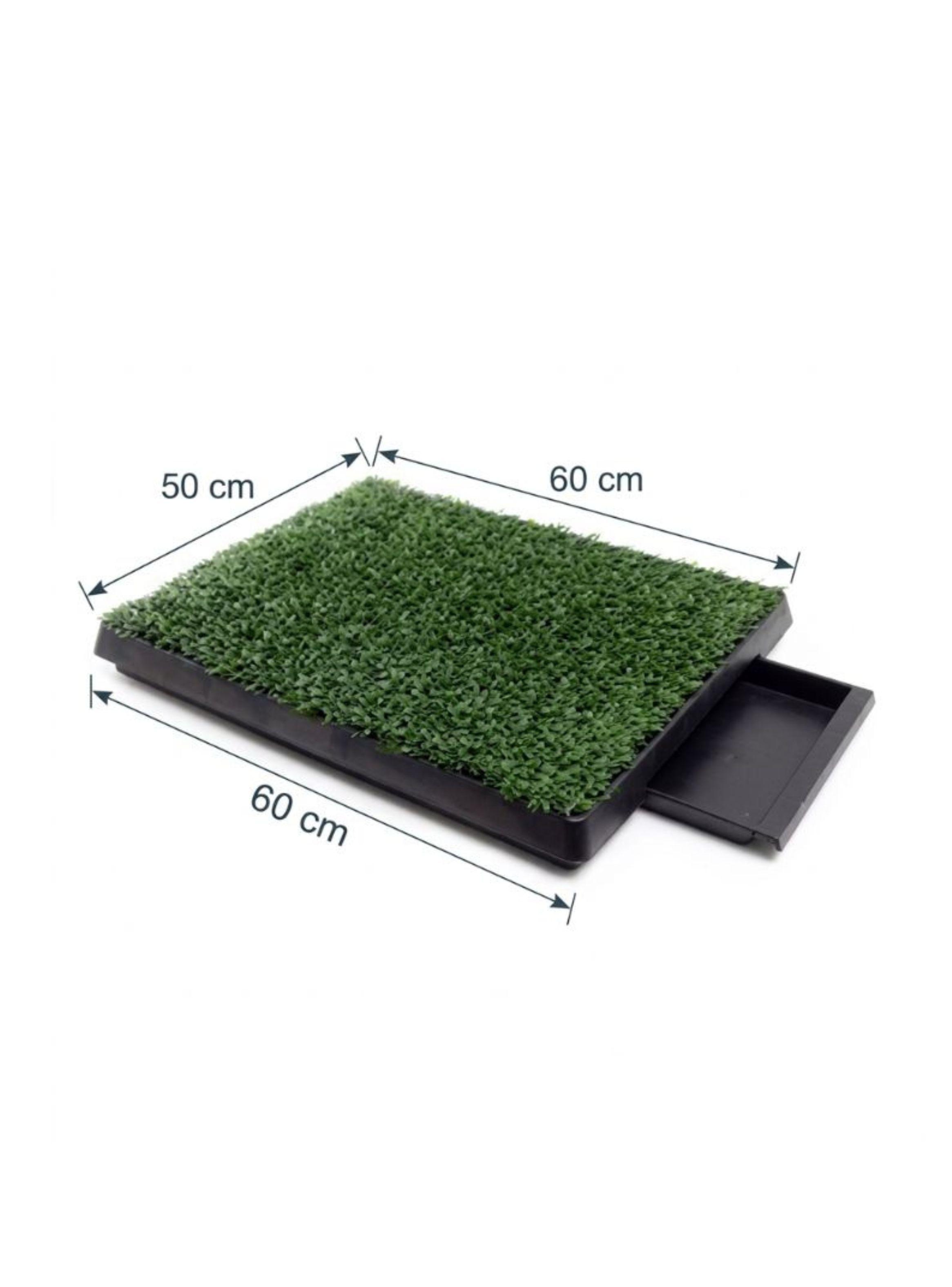 Baño Ecológico Para Perro Césped Sintético Con Bandeja 60x50 Talla M-1