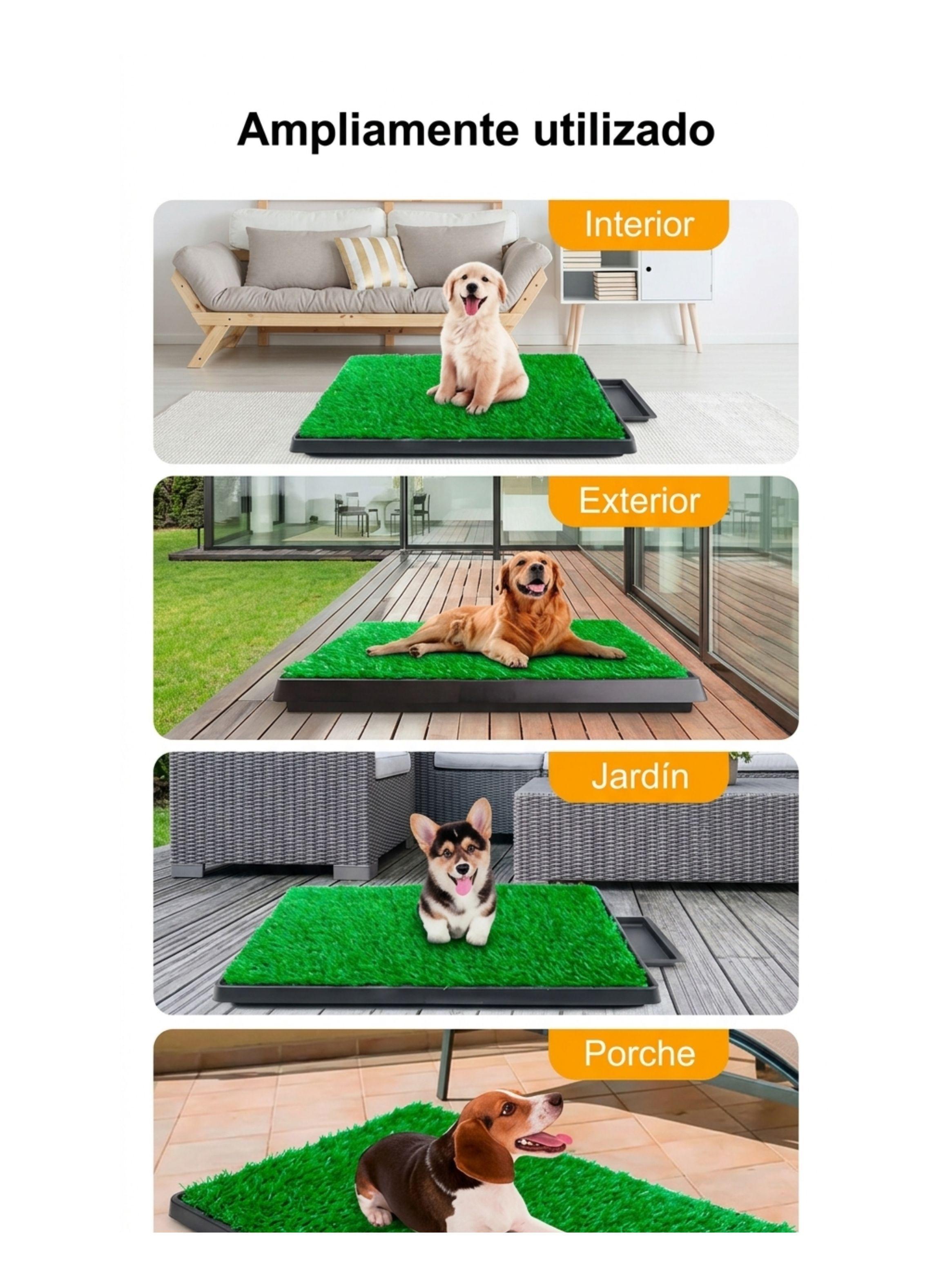 Baño Ecológico Para Perro Césped Sintético Con Bandeja 60x50 Talla M-3