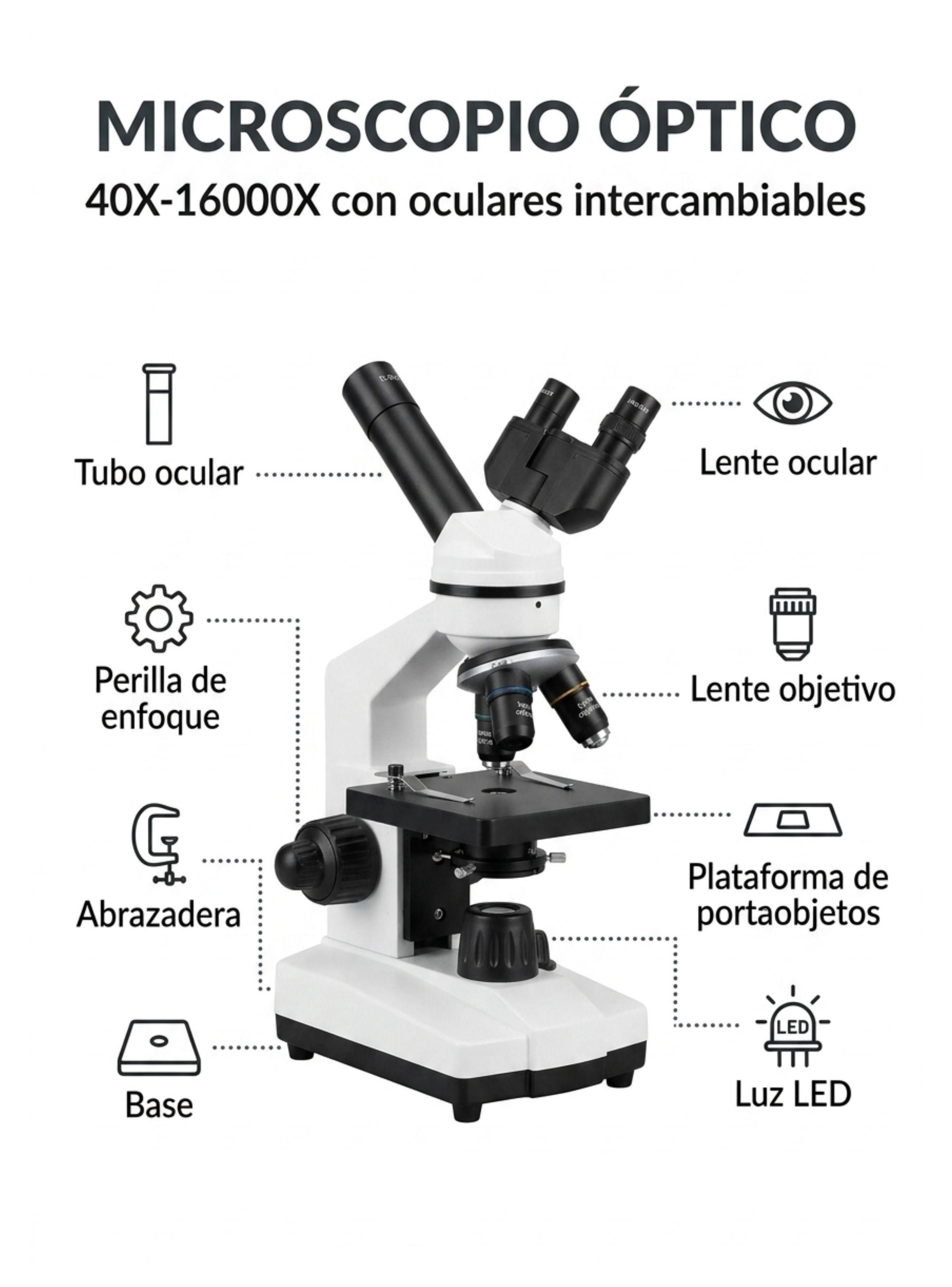 Microscopio Científico Infantil Escolar Juguete Stem Niño-2