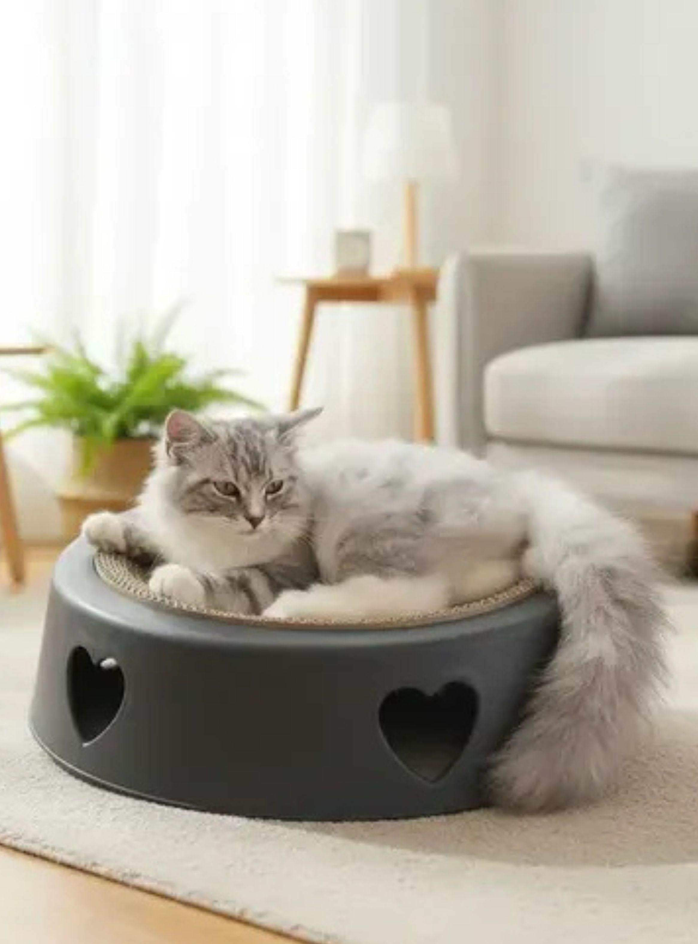 Rascador De Cartón Corrugado Para Gatos Redondo Negro 44cm-4
