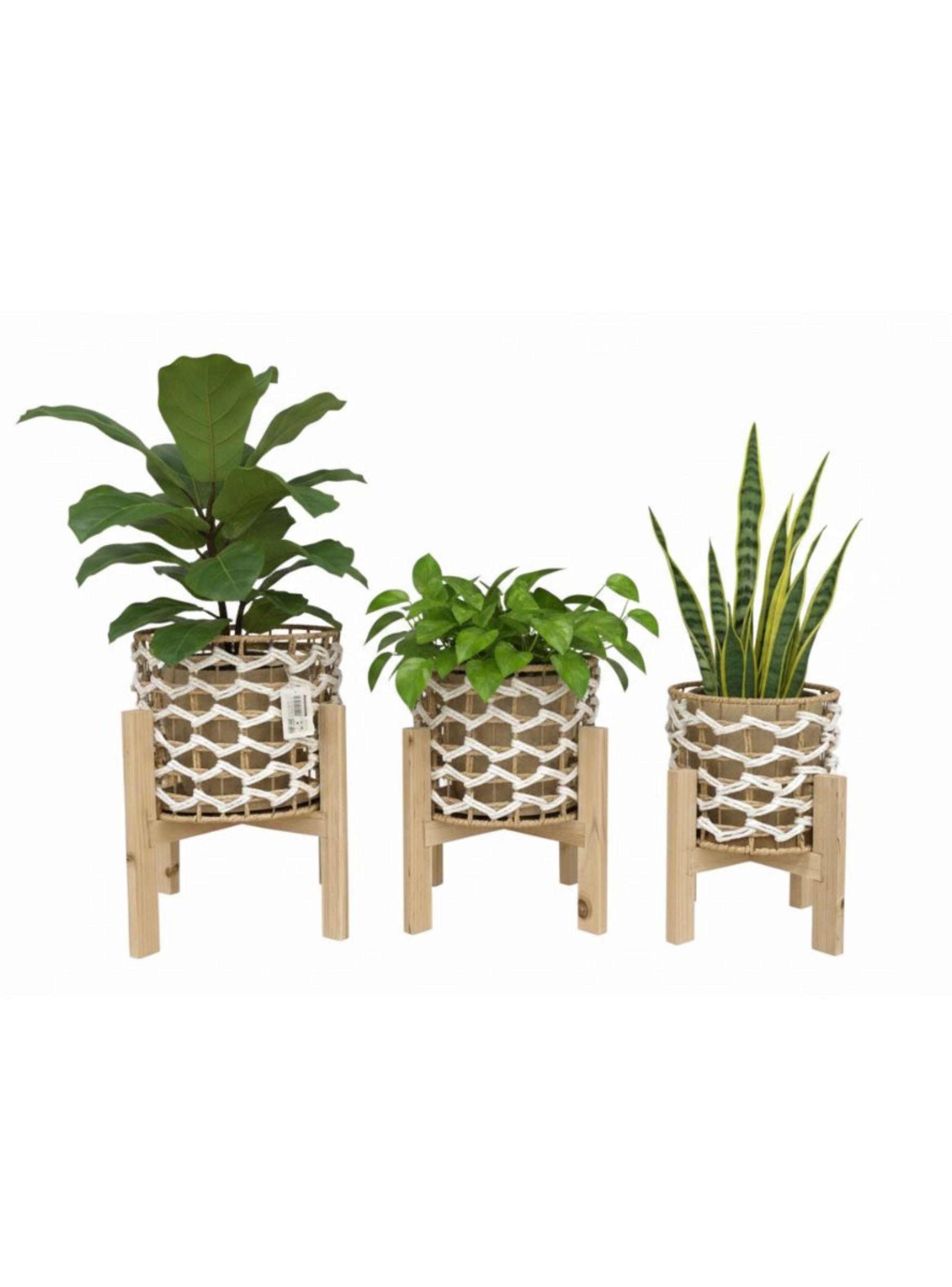 Set 3 Maceteros Artesanales con Base de Madera Natural-3