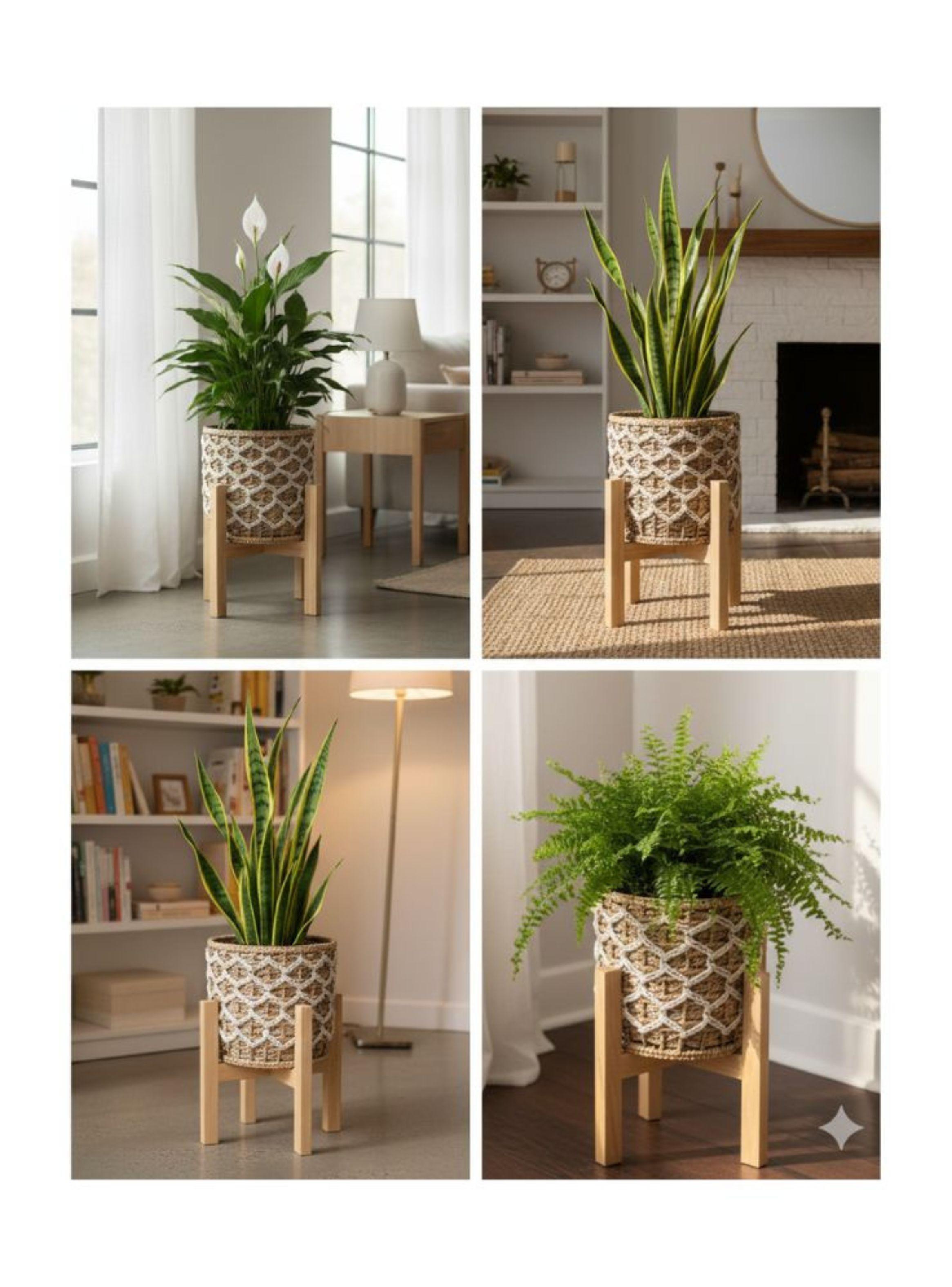 Set 3 Maceteros Artesanales con Base de Madera Natural-4