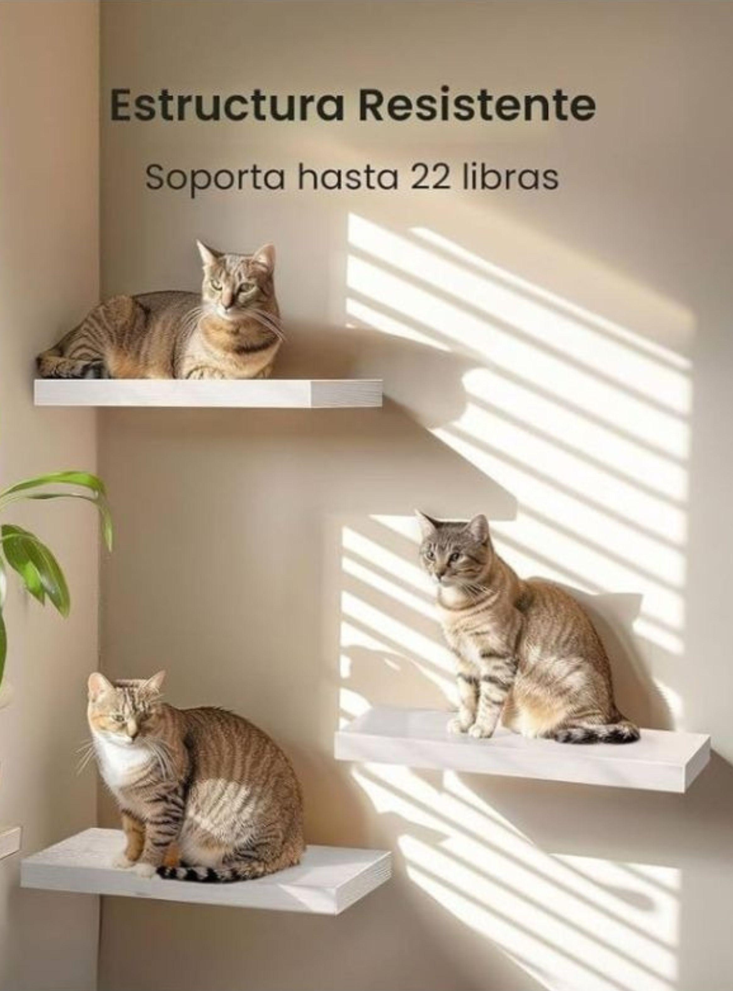 Repisa Flotante Minimalista Madera Blanca Organizador 60cm-5